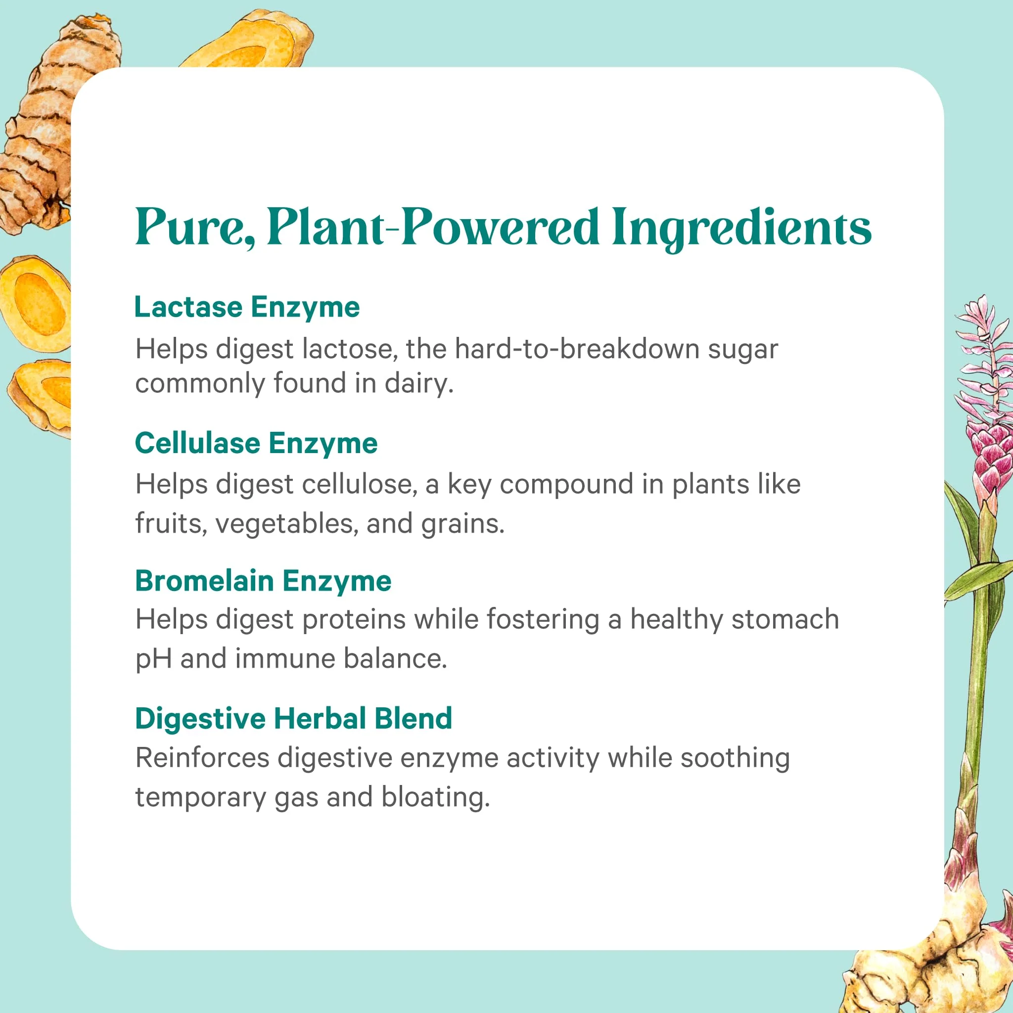 PURE SYNERGY Enzyme Power | Digestive Enzyme Supplement with Nattokinase, Bromelain & Serrapeptase | 90 Capsules - Image 6