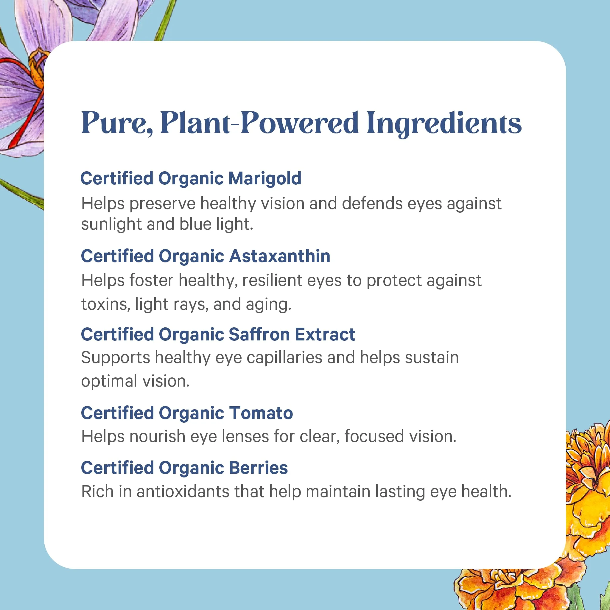 PURE SYNERGY Eye Protector — 100% Natural Vegan Eye Health Supplement (60 Capsules) - Image 11