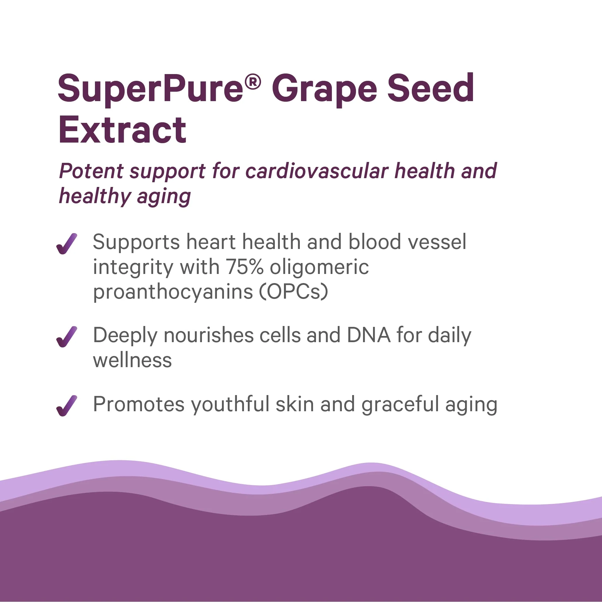 Pure Synergy SuperPure Grape Seed Extract | Organic Grape Seed Polyphenols – Heart Health, Skin & Healthy Aging (60 Capsules) - Image 4