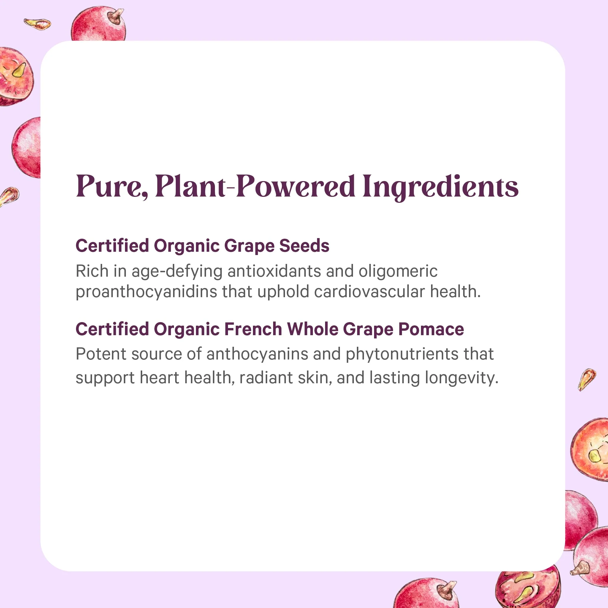 Pure Synergy SuperPure Grape Seed Extract | Organic Grape Seed Polyphenols – Heart Health, Skin & Healthy Aging (60 Capsules) - Image 5