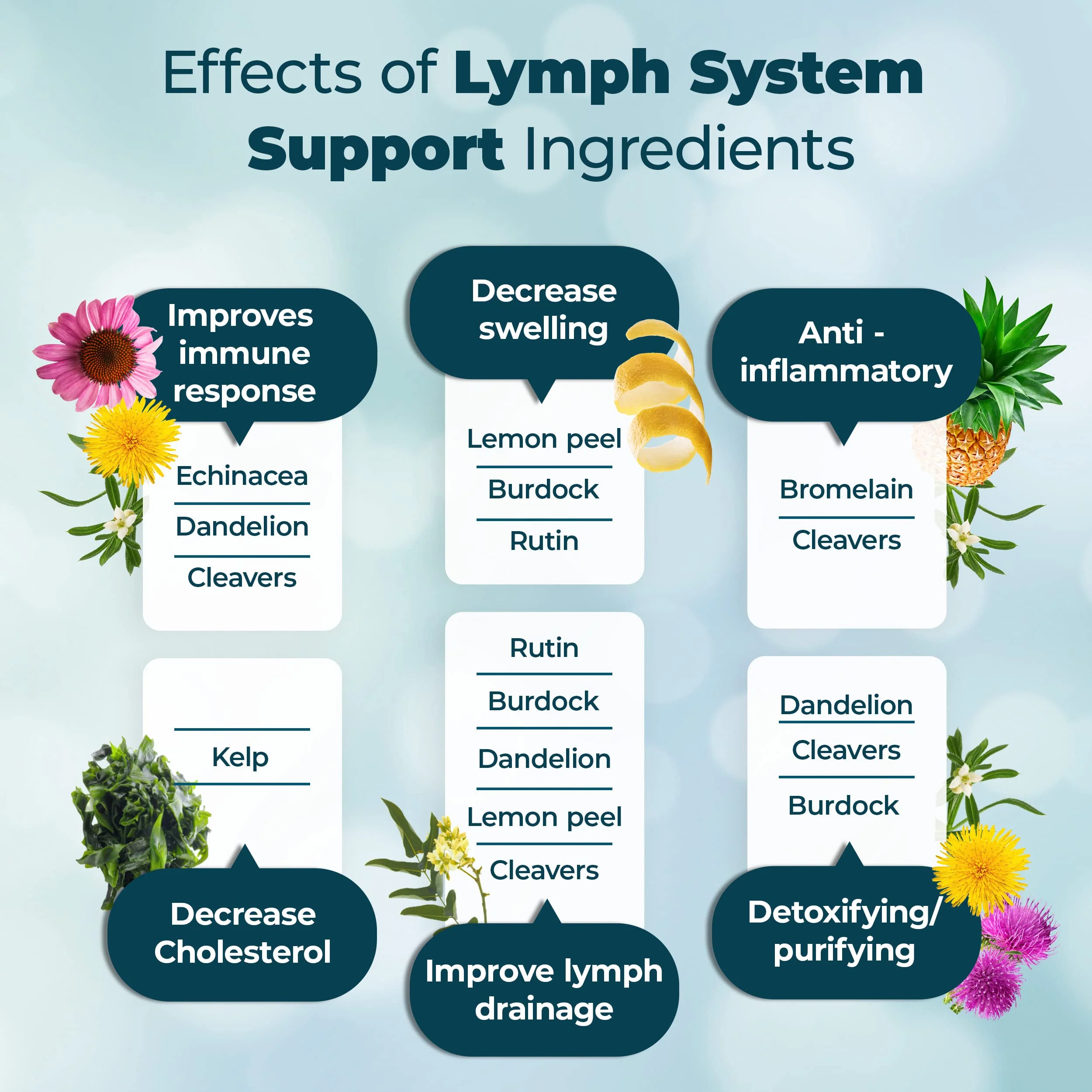 PUREHEALTH RESEARCH Lymph System Support — Lymphatic Drainage Supplement for Women & Men | 360 Capsules - Image 3