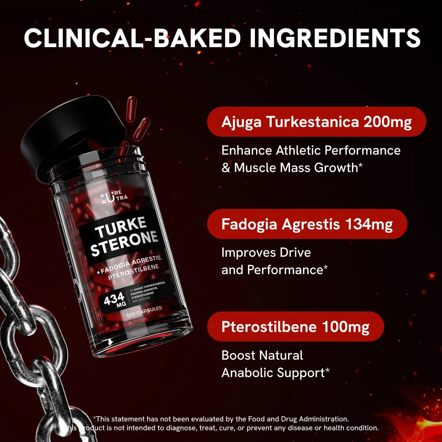 PureNutra Turkesterone for Men | Organic Turkesterone + Fadogia Agrestis | 120 Vegan Capsules (2 Packs) - Image 3