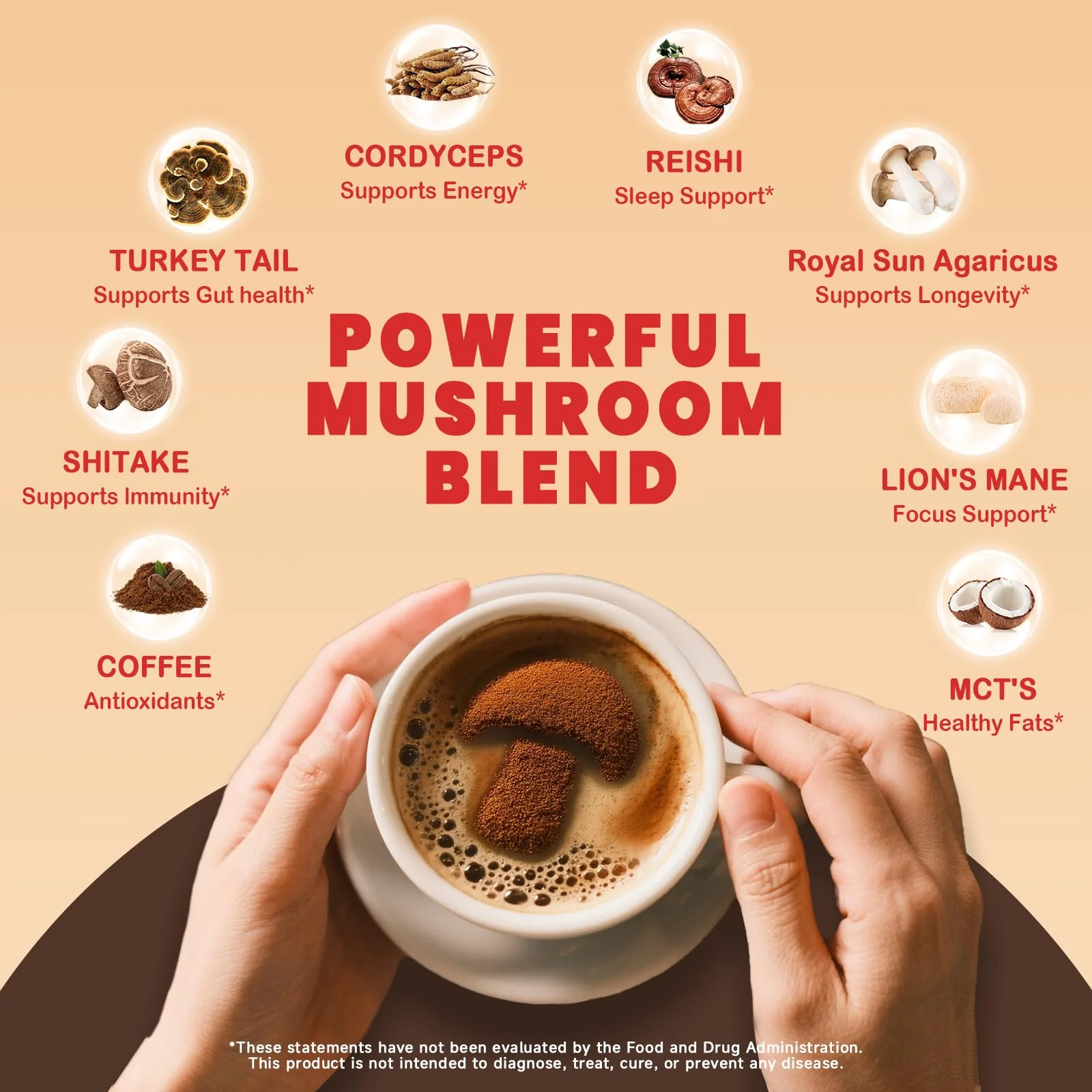 PUTRIZEN Mushroom Coffee with 6 Adaptogenic Mushrooms & MCT - 30 Servings - Image 3