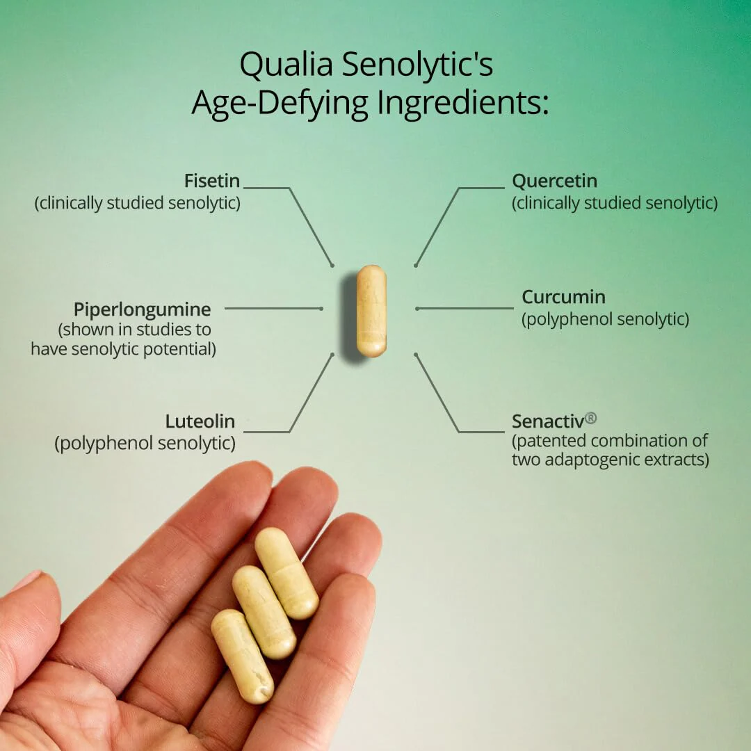Qualia Senolytic Ultimate Formula for Enhanced Cell Repair & Rejuvenation — 2-Day Aging & Longevity Support (Pack of 4) | QUALIA LIFE SCIENCES - Image 2