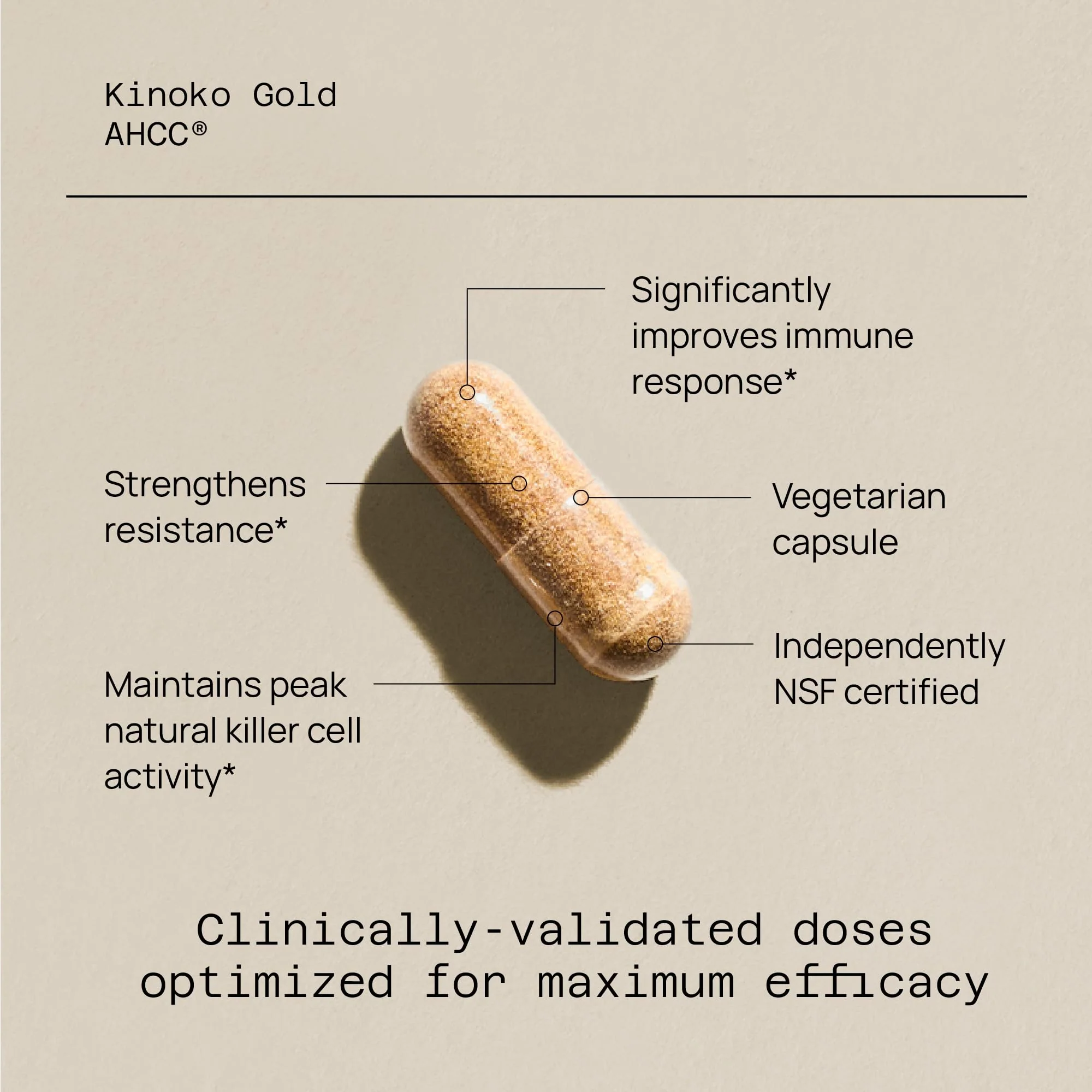 Quality of Life Kinoko Gold AHCC – 500 mg Capsule, Immune Support, 60 Veg Capsules - Image 10