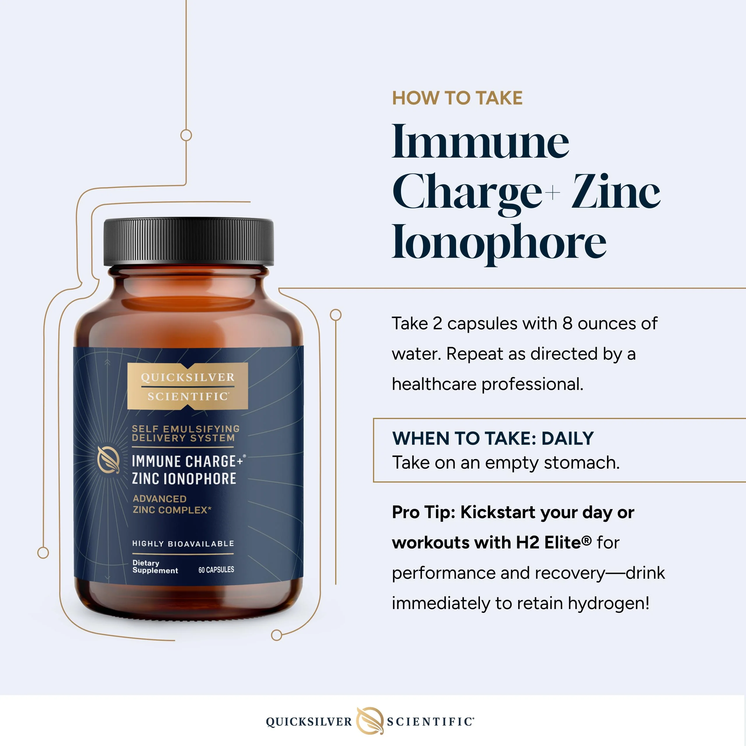 Quicksilver Immune Charge+ Zinc Ionophore – Zinc + Quercetin, Luteolin & Hesperetin (60 Capsules) - Image 6