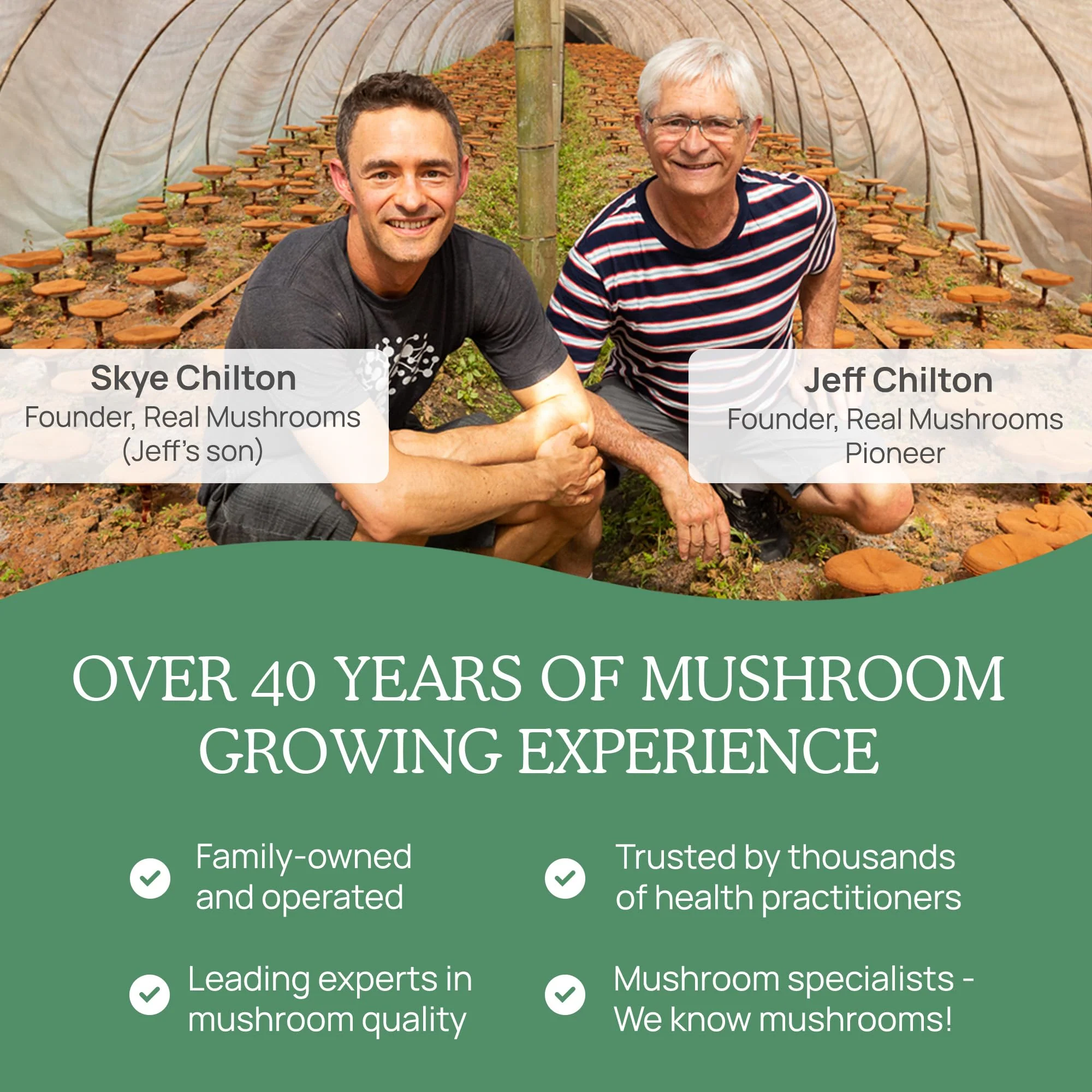 Real Mushrooms 5 Defenders Mushroom Complex Powder – Organic 5-Mushroom Blend, 100 Servings - Image 7
