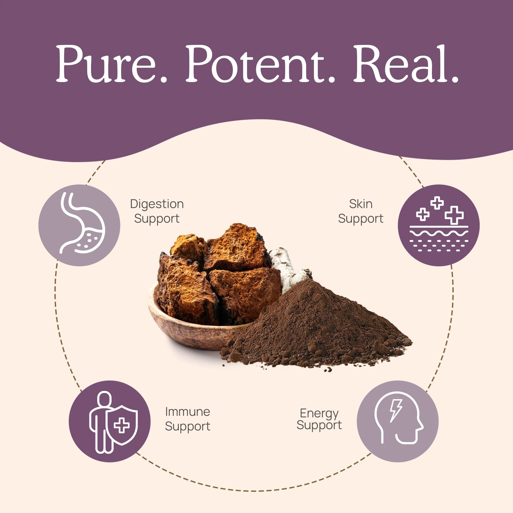Real Mushrooms Chaga Capsules – Organic Chaga Extract, Vegan & Non-GMO, 300 Capsules - Image 11