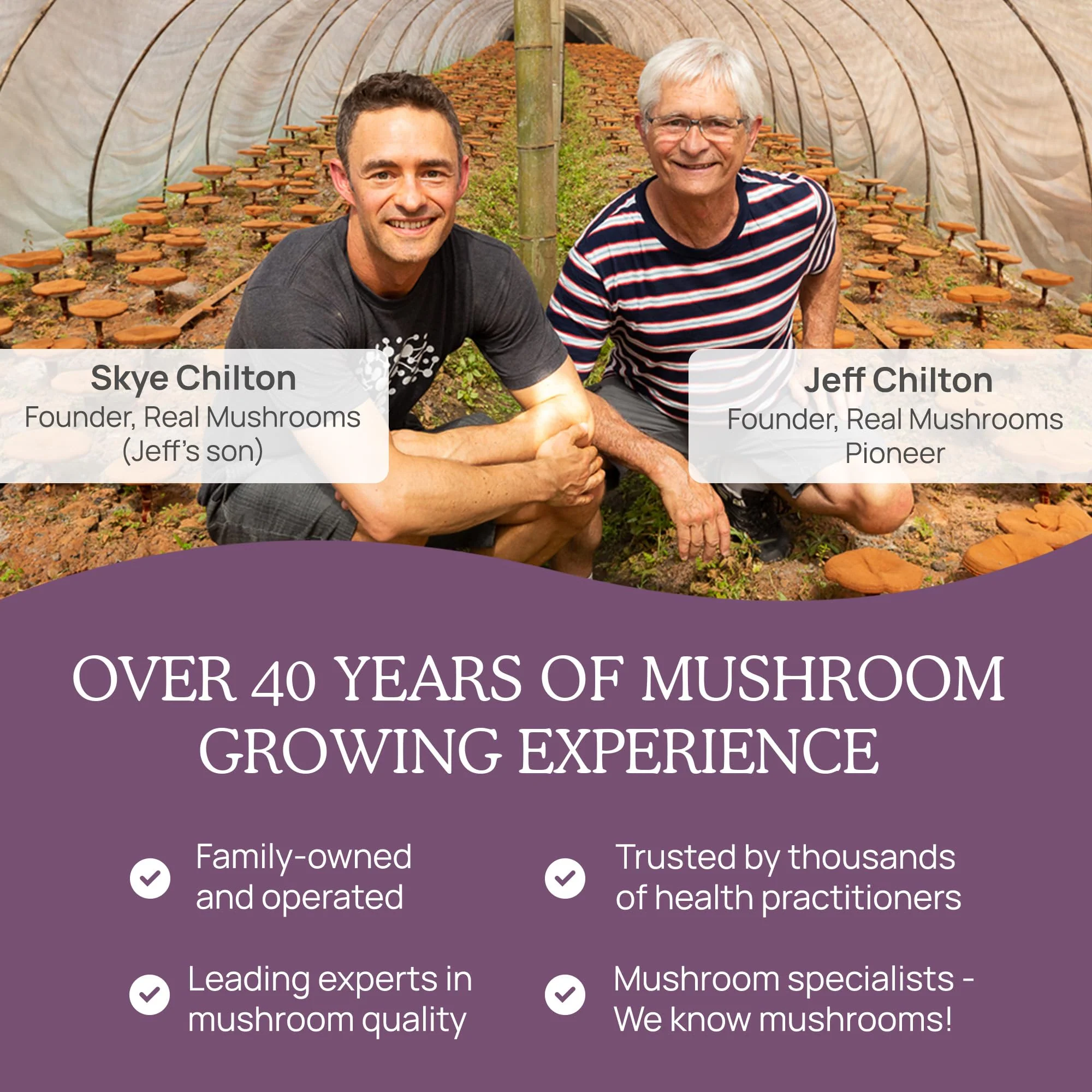 Real Mushrooms Chaga Capsules – Organic Chaga Extract, Vegan & Non-GMO, 300 Capsules - Image 14
