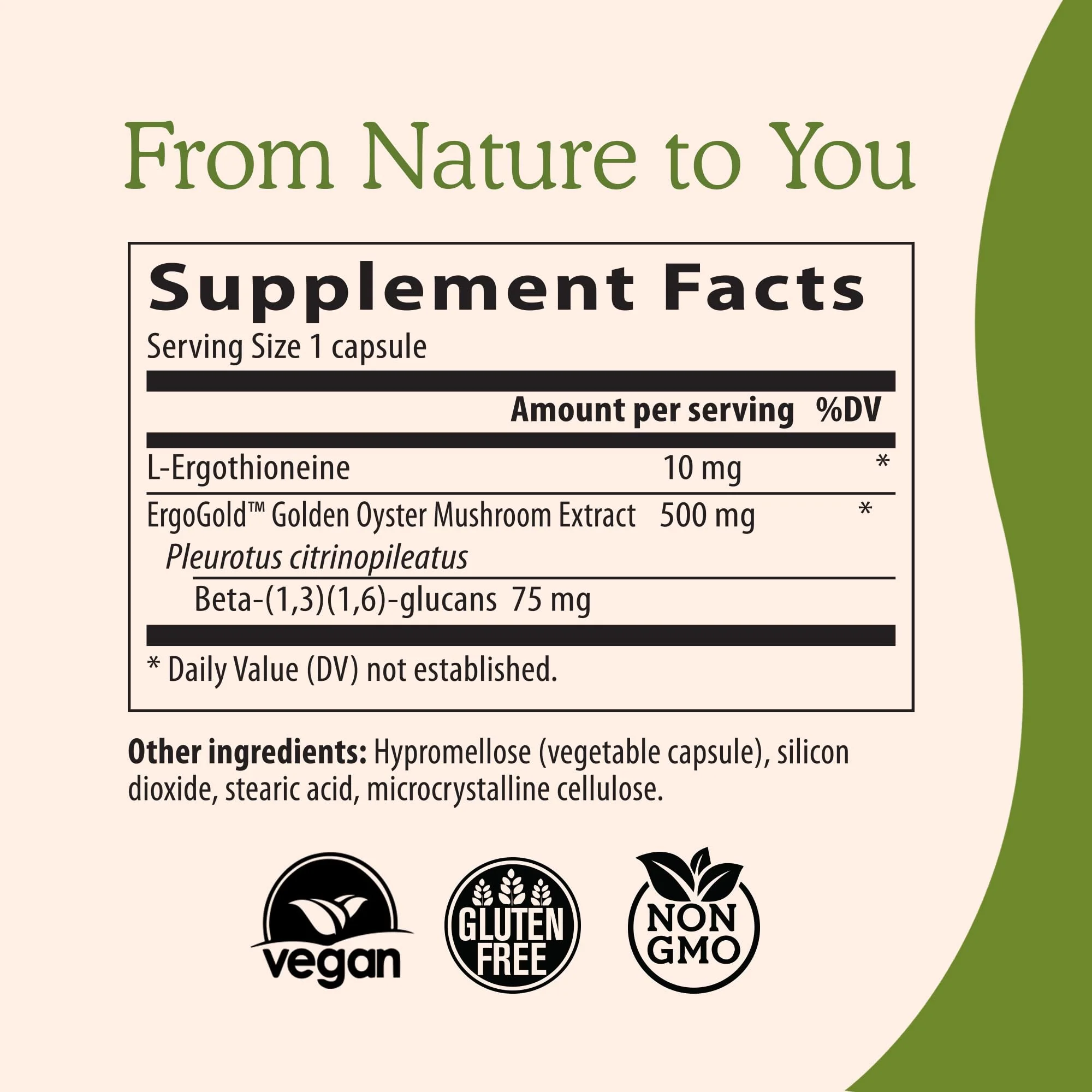 Real Mushrooms Ergothioneine Supplement – Golden Oyster Mushroom Extract, 60 Capsules – Organic, Vegan, Non-GMO - Image 3