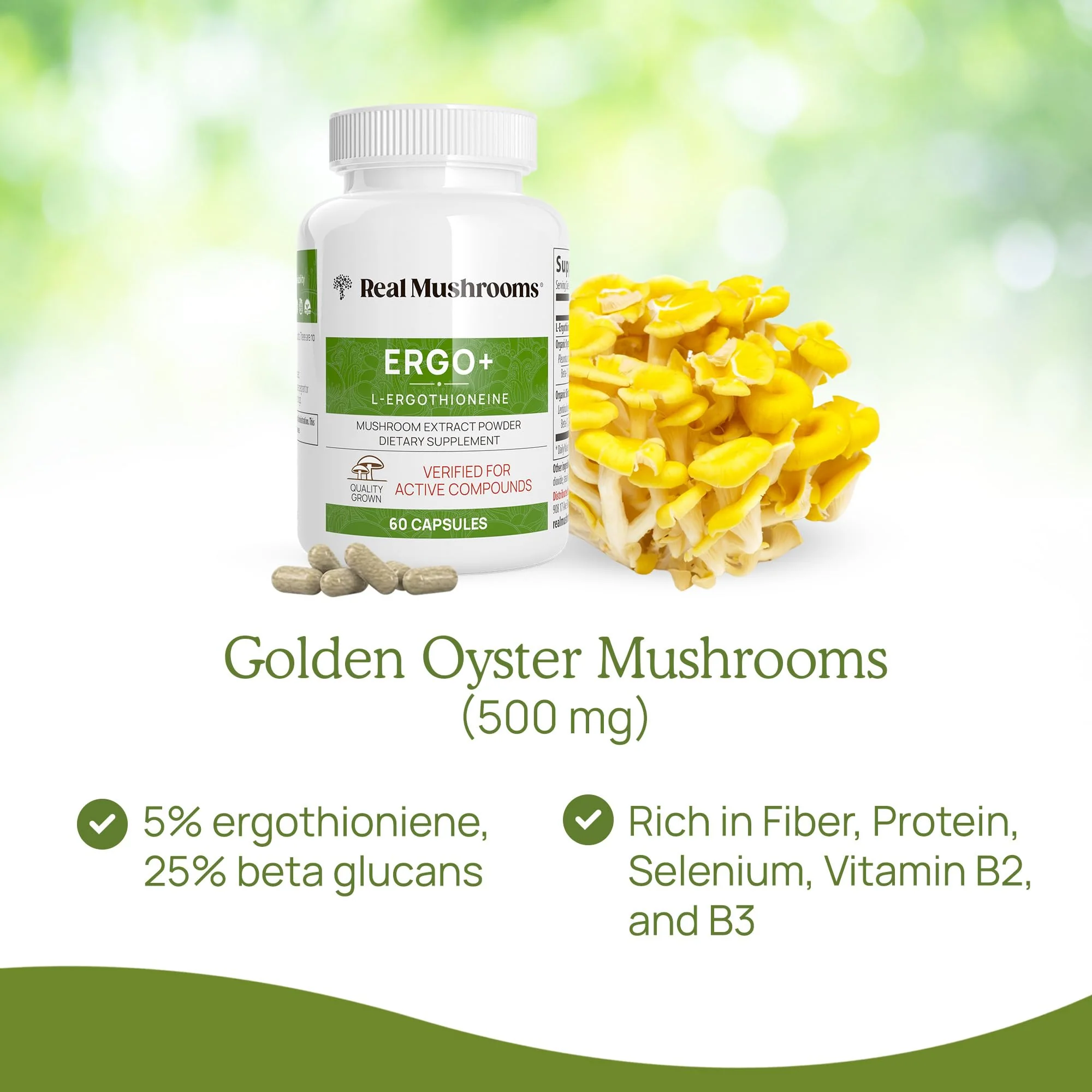 Real Mushrooms Ergothioneine Supplement – Golden Oyster Mushroom Extract, 60 Capsules – Organic, Vegan, Non-GMO - Image 6