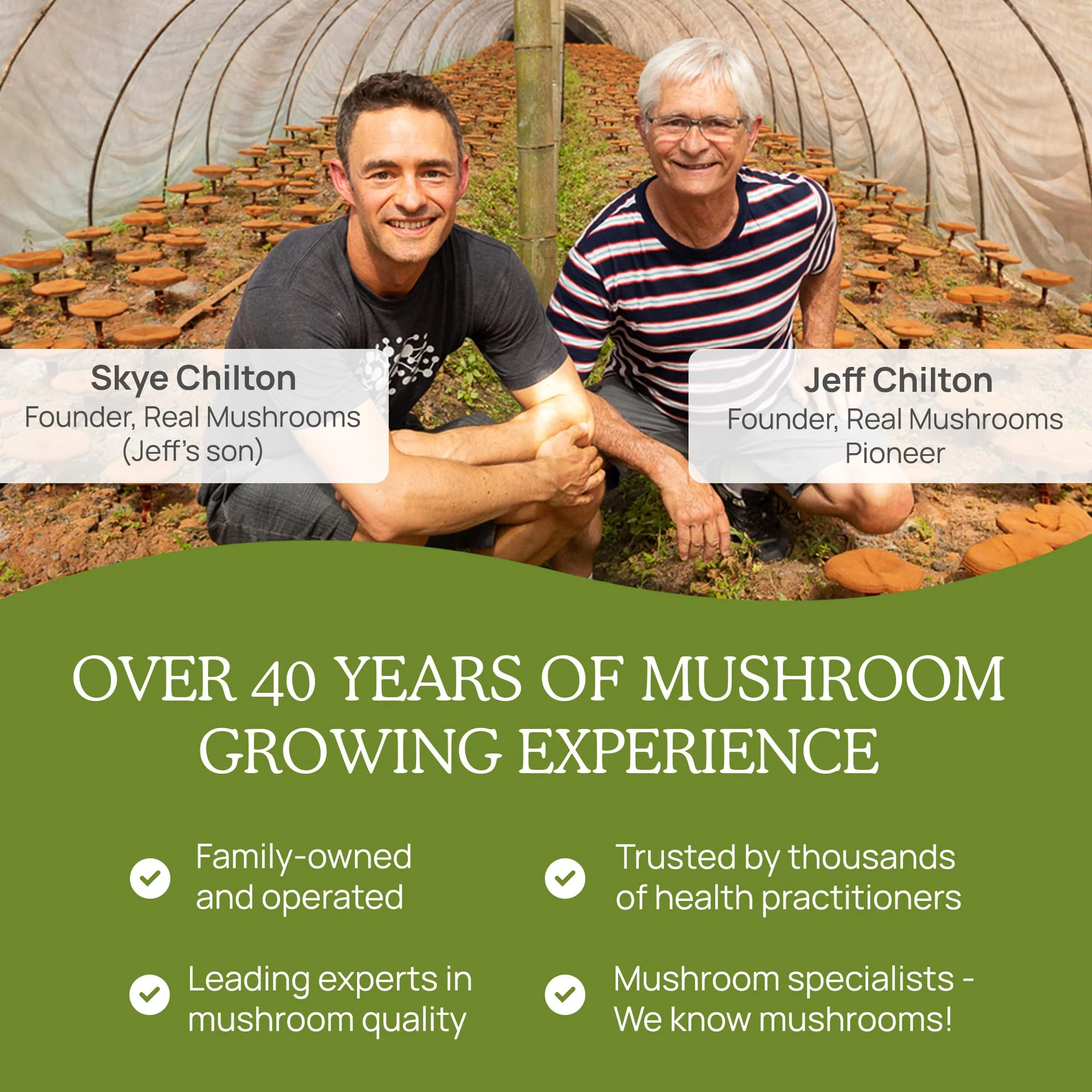 Real Mushrooms Ergothioneine Supplement – Golden Oyster Mushroom Extract, 60 Capsules – Organic, Vegan, Non-GMO - Image 7