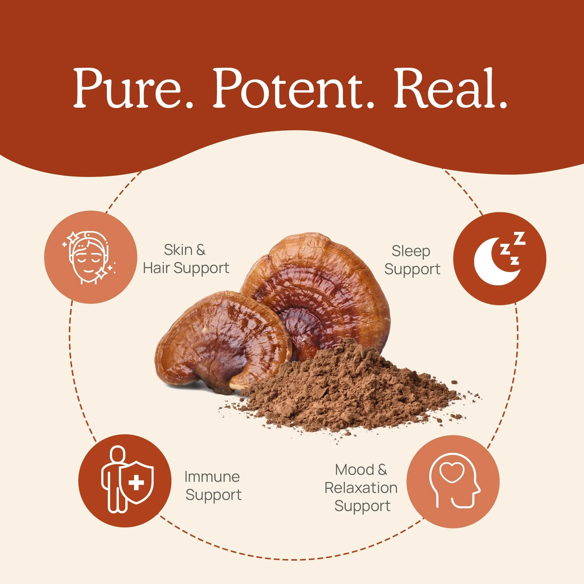 Real Mushrooms Reishi Capsules - Organic Red Reishi Extracts, 90 Ct, Vegan & Non-GMO - Image 4