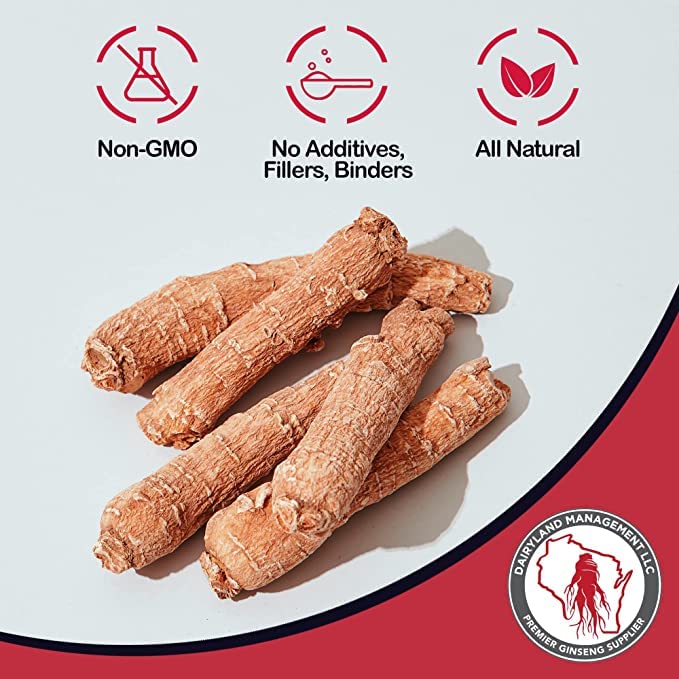 Red Panax Ginseng Powder (8 oz) – 10% Ginsenosides, Energy & Mood | Dairyland - Image 3