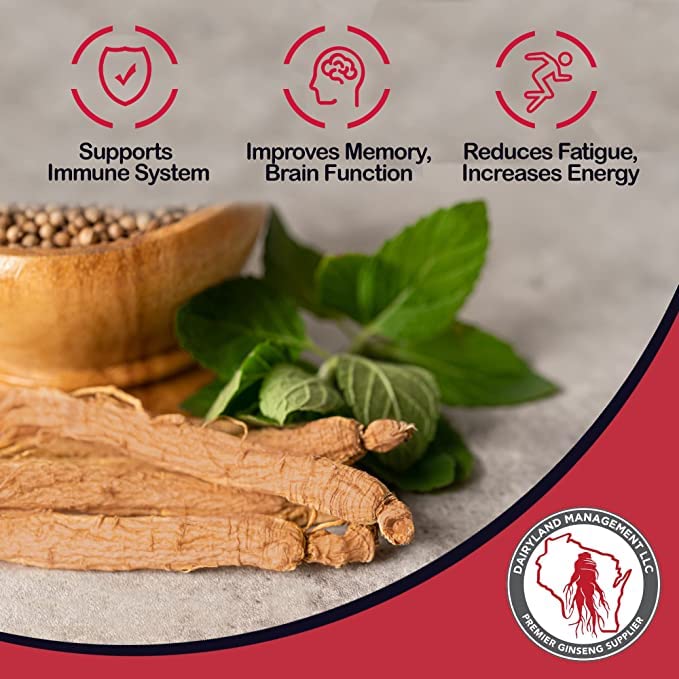 Red Panax Ginseng Powder (8 oz) – 10% Ginsenosides, Energy & Mood | Dairyland - Image 4