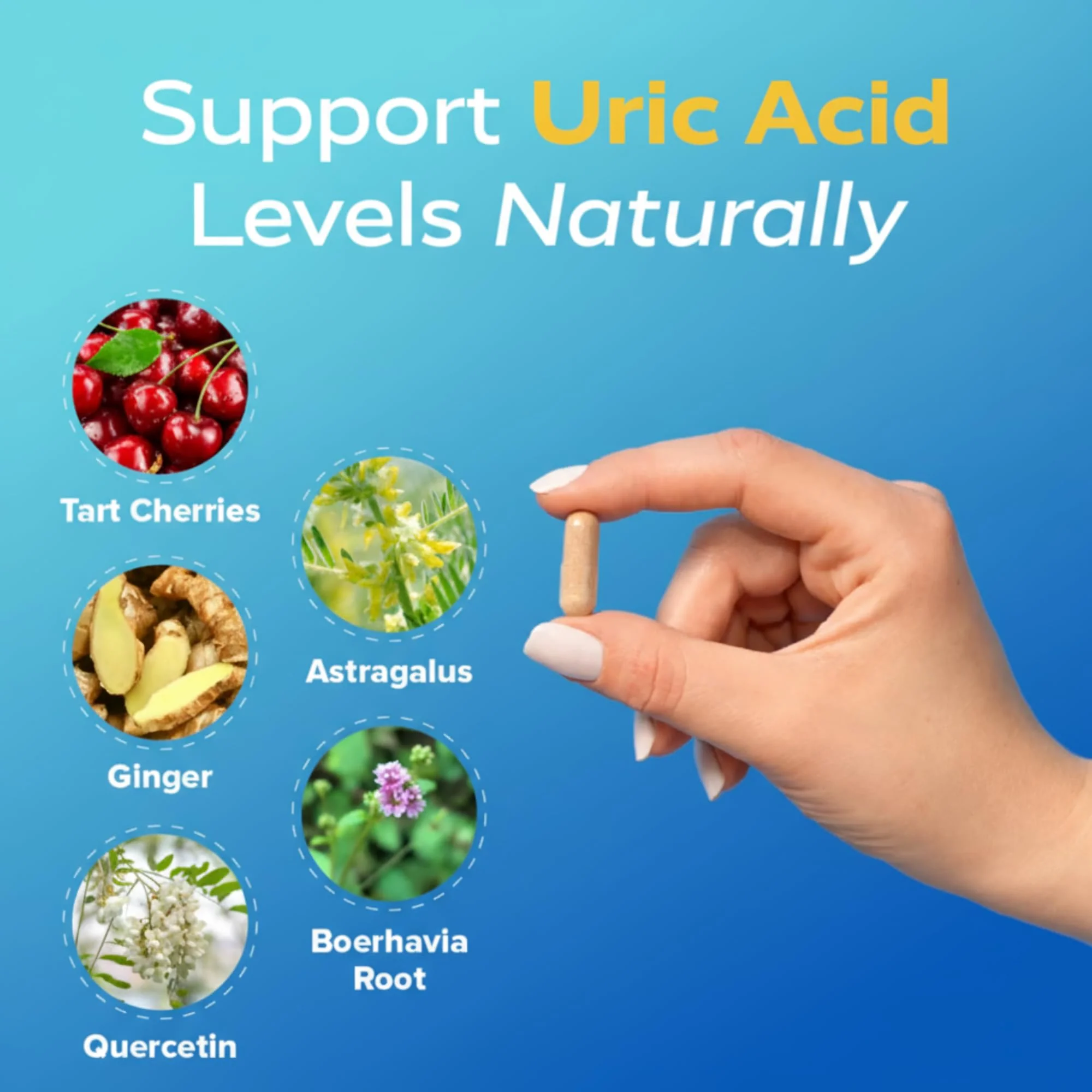 Redd Remedies Gouch! — Joint & Uric Acid Support with Tart Cherry & Quercetin | 120 Vegan Capsules - Image 10