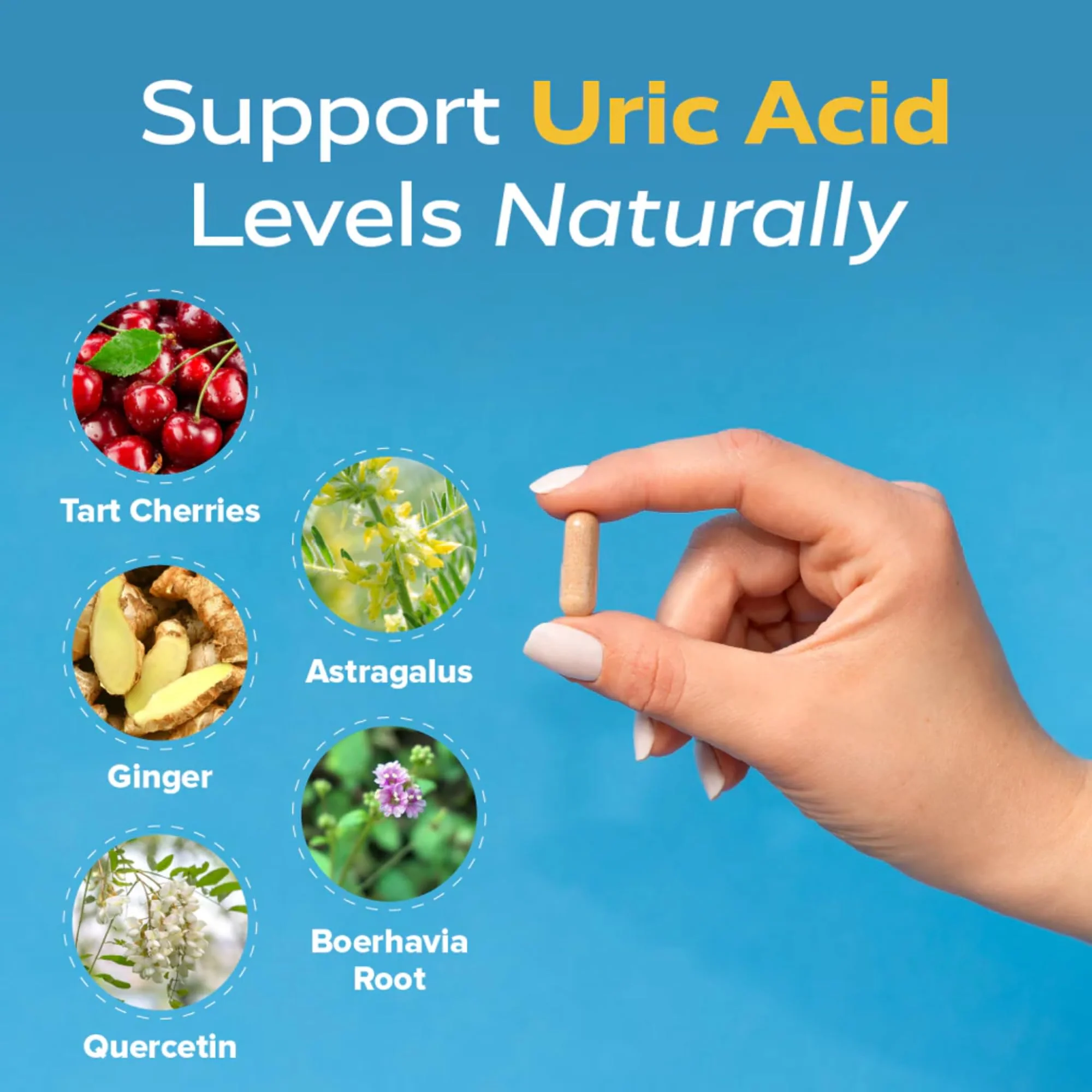 Redd Remedies Gouch! — Joint & Uric Acid Support with Tart Cherry & Quercetin | 120 Vegan Capsules - Image 3