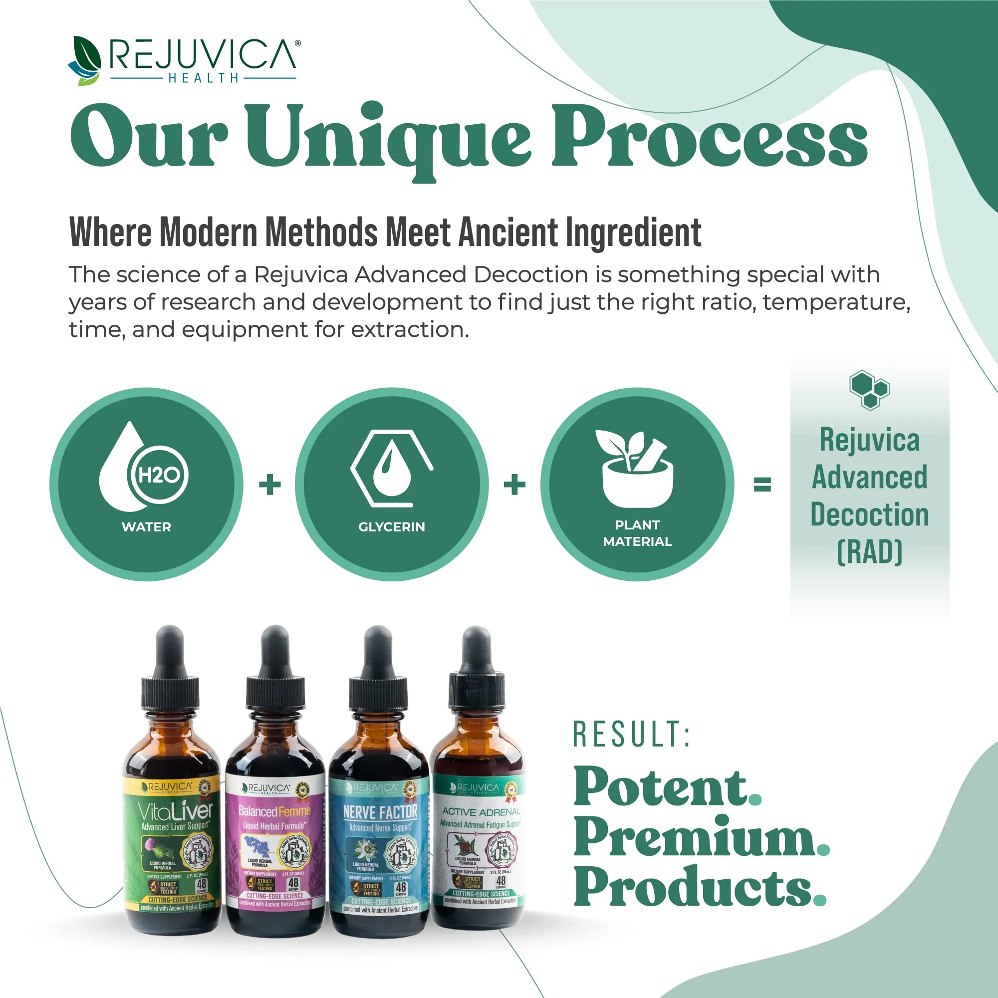 Rejuvica Health Active Adrenal - Advanced Adrenal Support Tincture - Liquid for Easy Absorption - Image 3