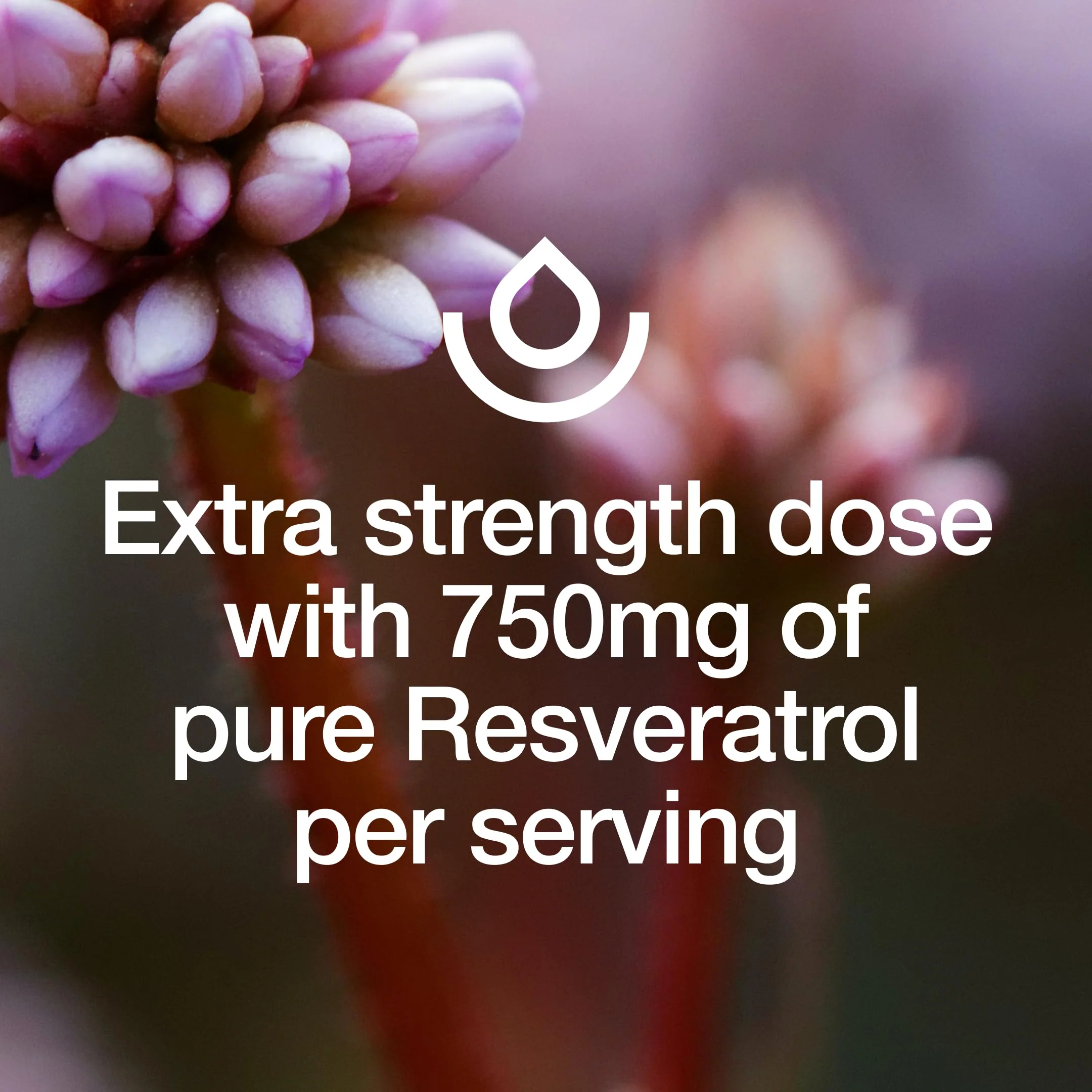 Resveratrol Supplement 750mg – Trans-Resveratrol, Extra Strength (90 Capsules, Pack of 2) – Vegan, Non-GMO, Gluten-Free - Image 5