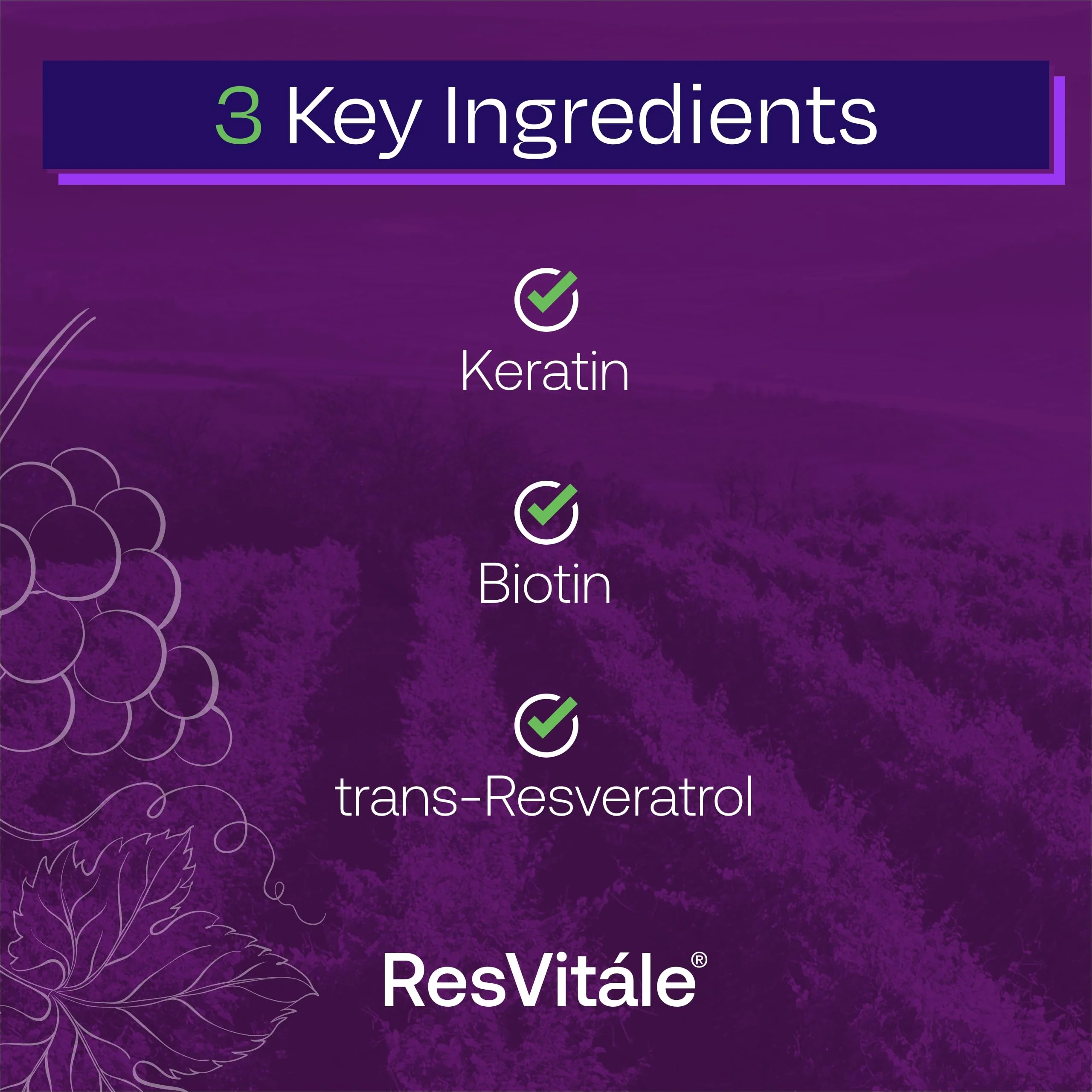 ResVitale Keratin Hair Enhance - Keratin + Biotin Hair Growth Supplement | 60 Capsules - Image 3