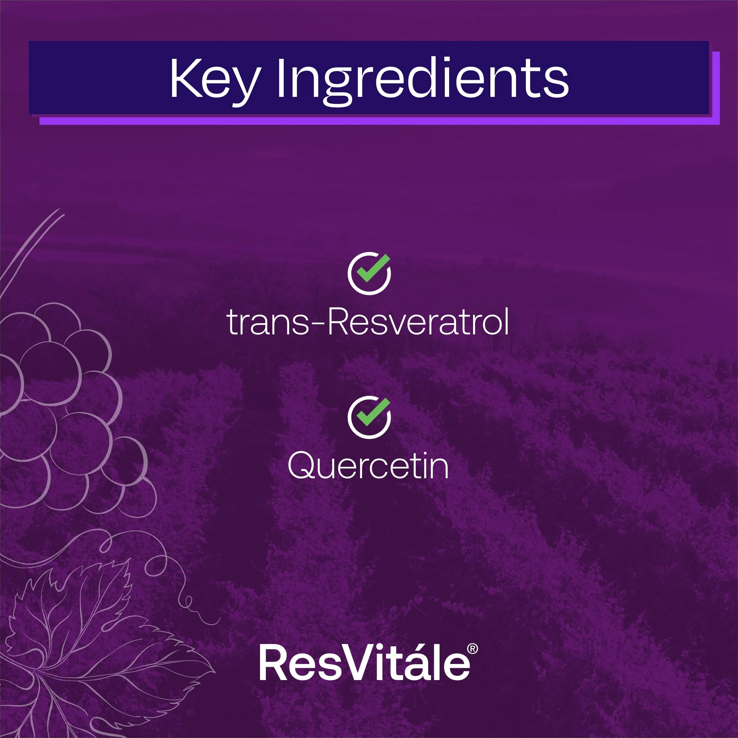 ResVitále Resveratrol 250 mg - 120 Veggie Capsules | Longevity - Image 4
