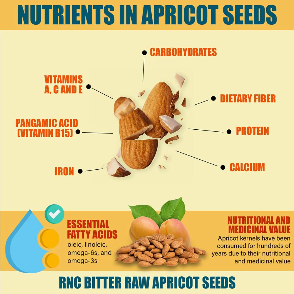 Richardson Nutritional Center Fresh Raw Bitter Apricot Seeds (2 lb) — California Grown, Lab Tested, Vegan, Gluten & GMO Free - Image 6