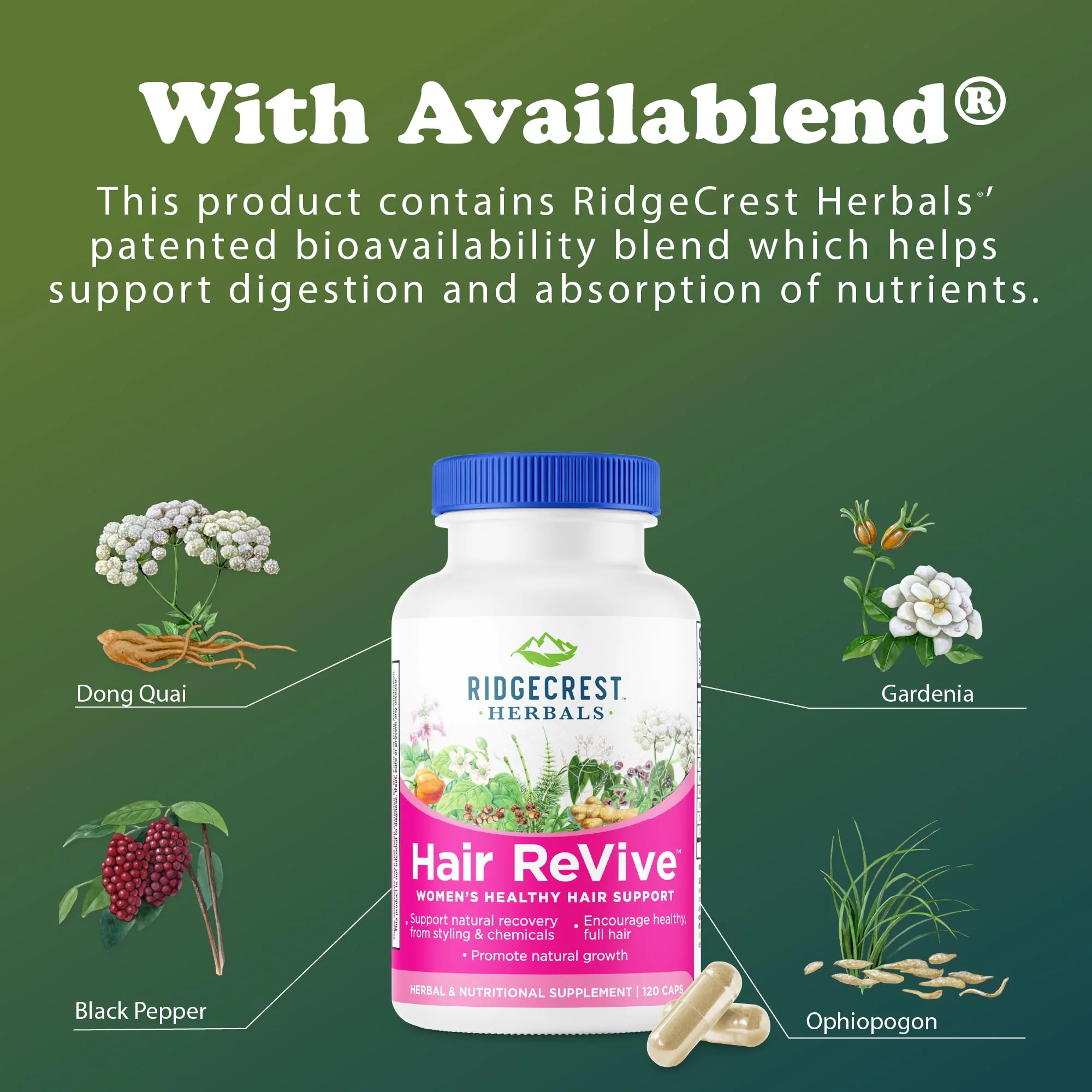 RidgeCrest Hair ReVive: Nutritional Hair Vitamins with Biotin 6000mcg - Image 13