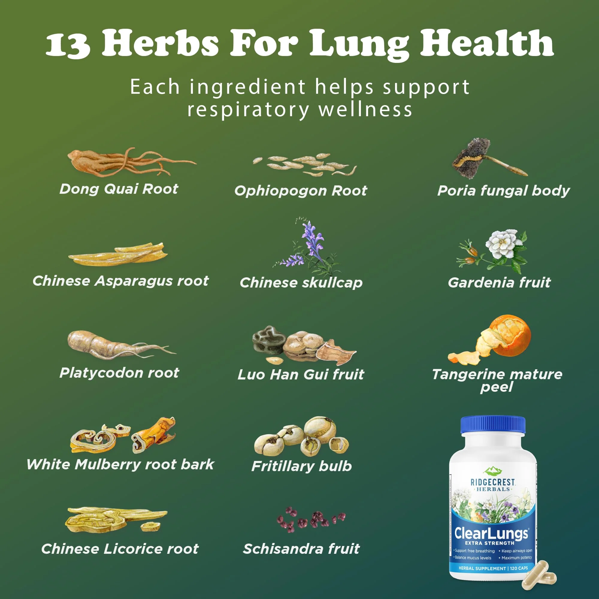 RidgeCrest Herbals ClearLungs Extra Strength - Daily Respiratory Support (120 Vegan Caps) - Image 16