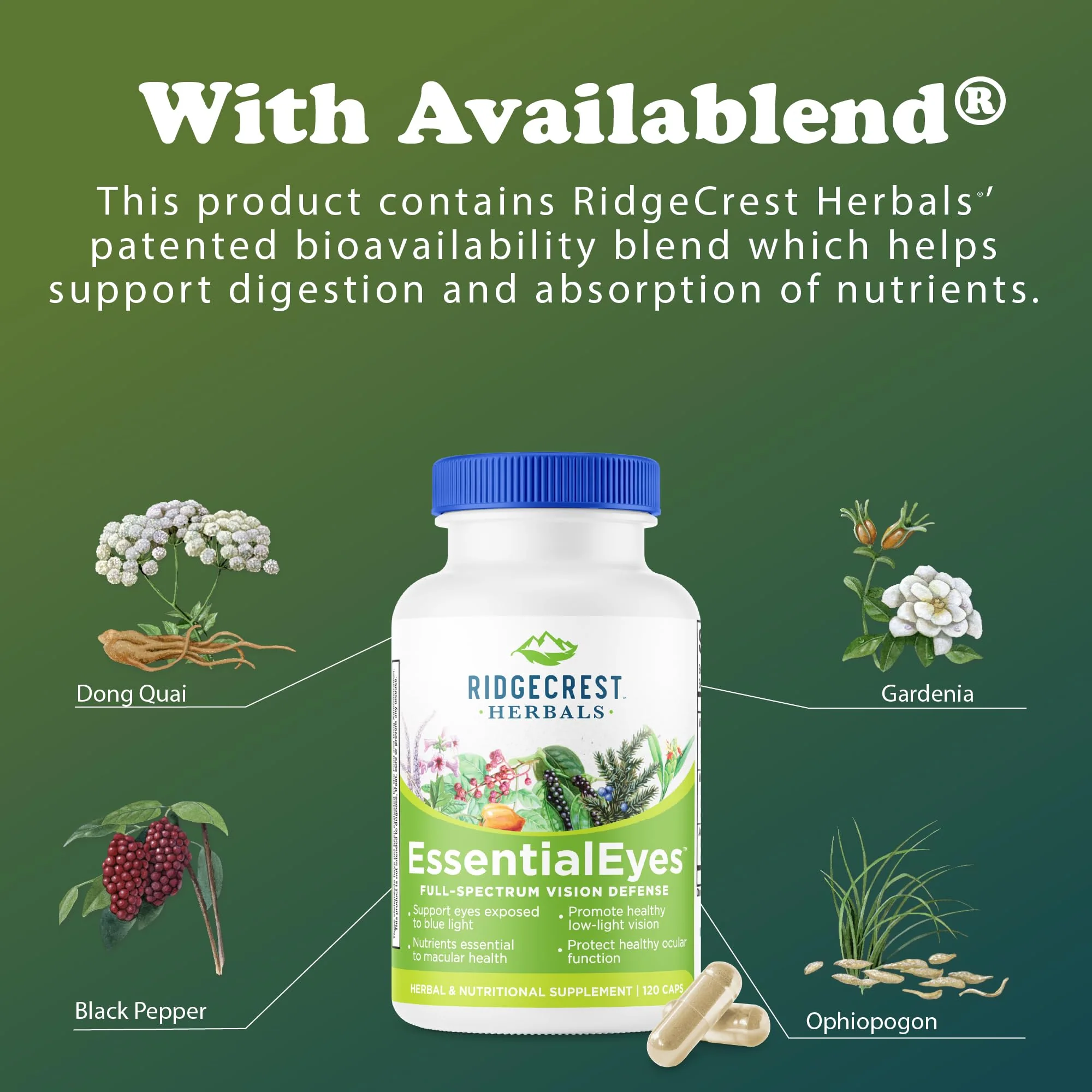 Ridgecrest Herbals EssentialEyes – Natural Eye Vitamin with Lutein, Zeaxanthin & Bilberry Extract | 120 Vegan Caps - Image 14