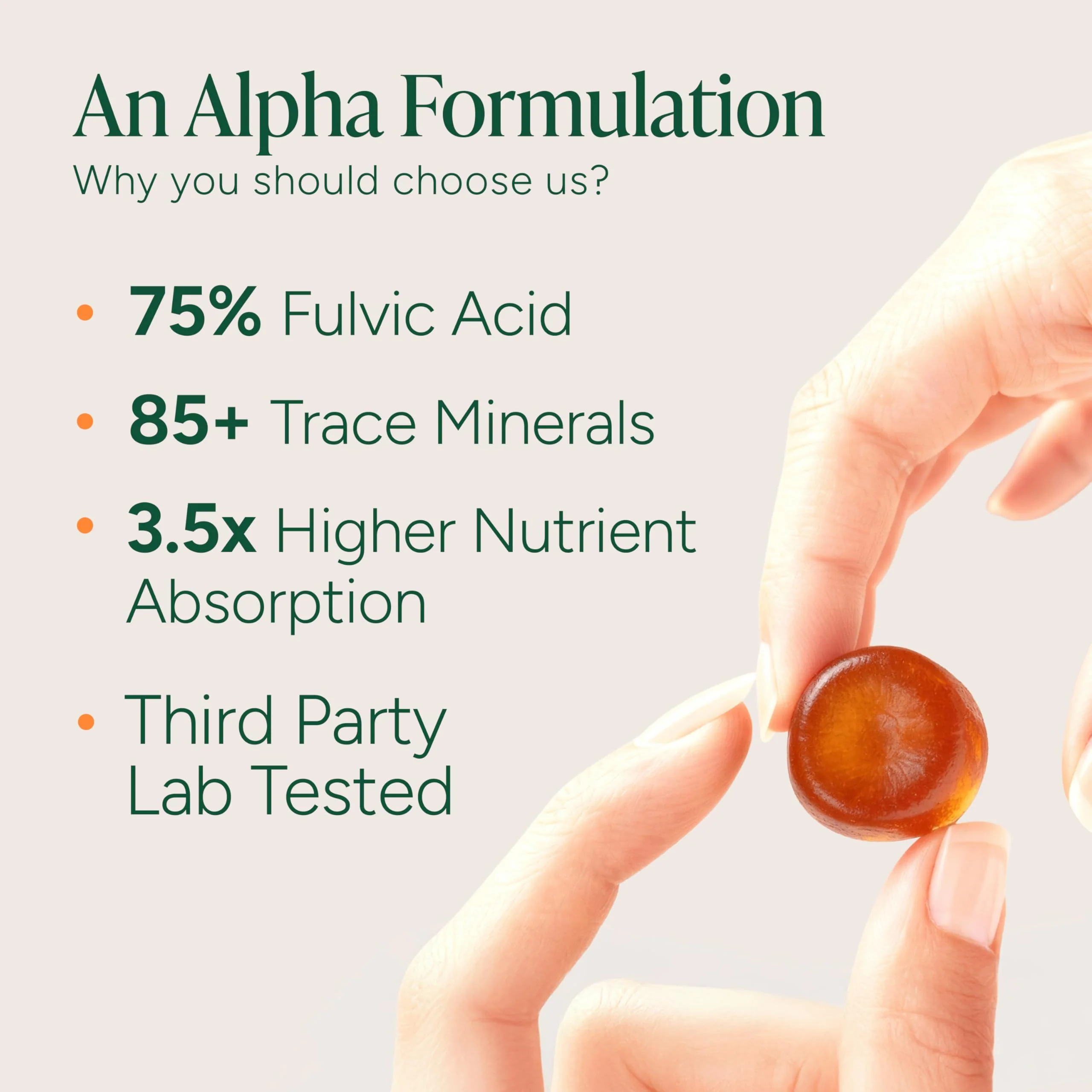 ROOT LABS 10-in-1 Alpha Shilajit Gummies – 4000 mg, Sugar-Free Vegan, 120 Pack - Image 3