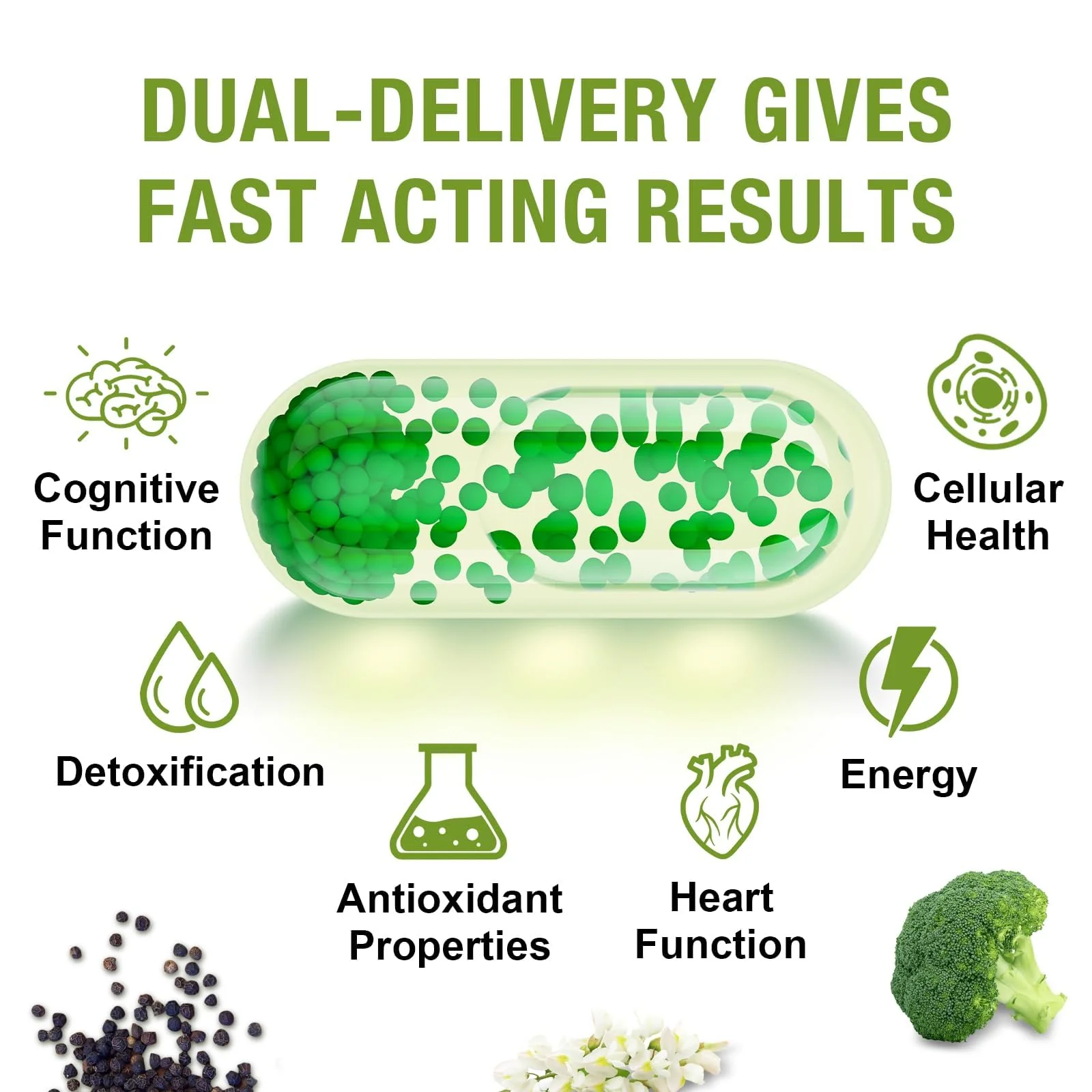 Rosmolo 800 mg Liposomal Sulforaphane | Dual-Delivery, Full-Spectrum Broccoli Extract, 180 Softgels - Image 14