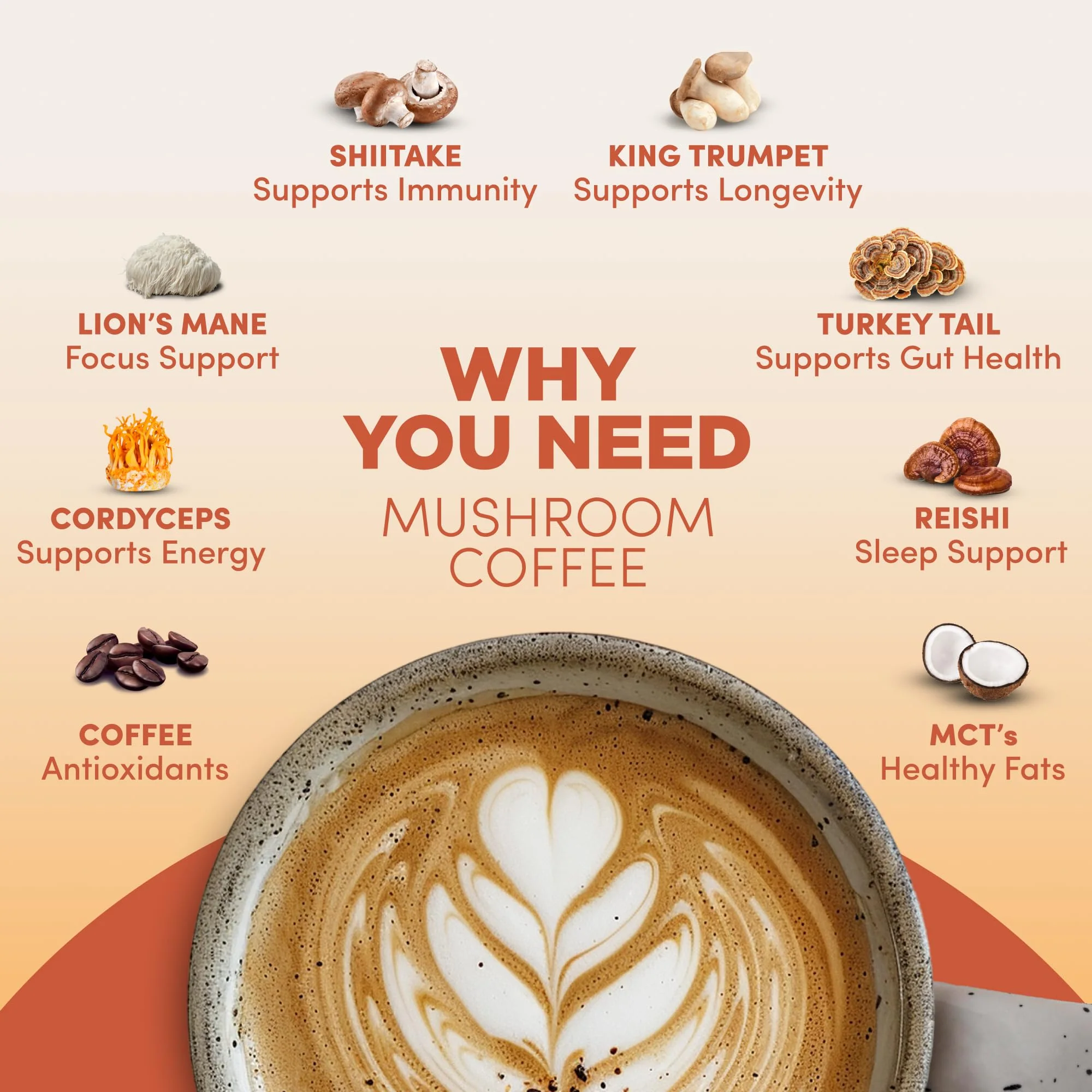 RYZE n Shine Bundle – USDA Organic Mushroom Coffee + Probiotic Creamer | 6 Adaptogenic Mushrooms, MCT Oil, 30+30 Servings - Image 3