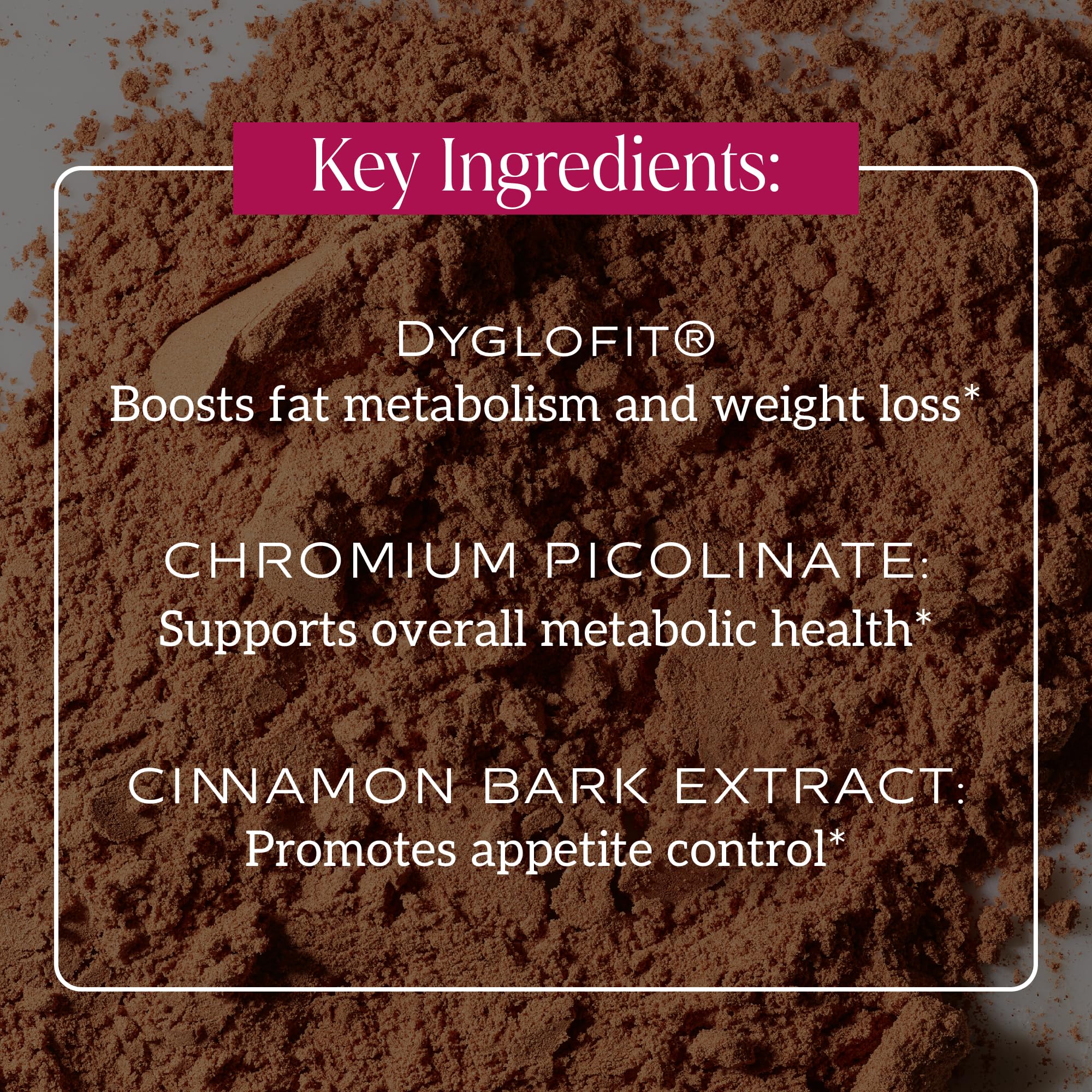 SAKARA Metabolism Super Powder – Appetite Control, Weight Management, Chocolate Flavor | Vegan & Non-GMO | 24 Servings - Image 4