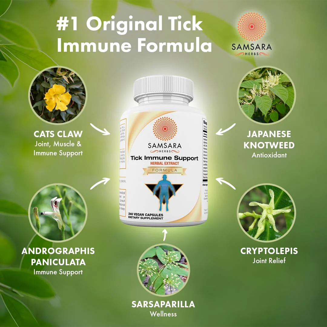 Samsara Herbs Tick Immune Support - 240 Capsules (Japanese Knotweed & Cat's Claw) - Image 8