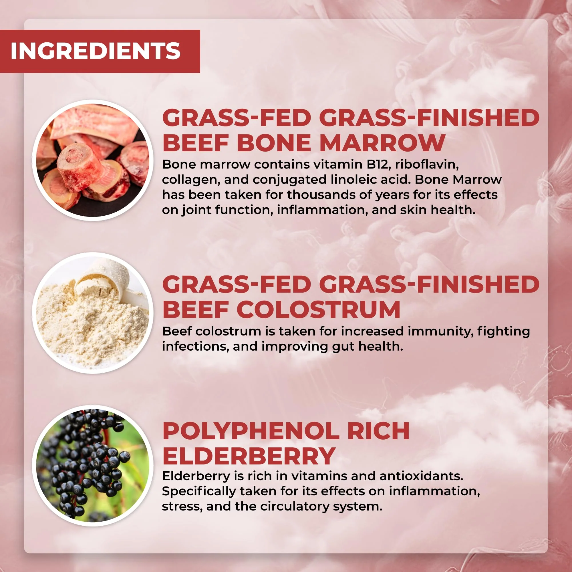Santa Cruz Paleo Food of the Gods: Grass-Fed Beef Organ Supplement with Collagen, Maca Root, Colostrum – 30 Servings - Image 2