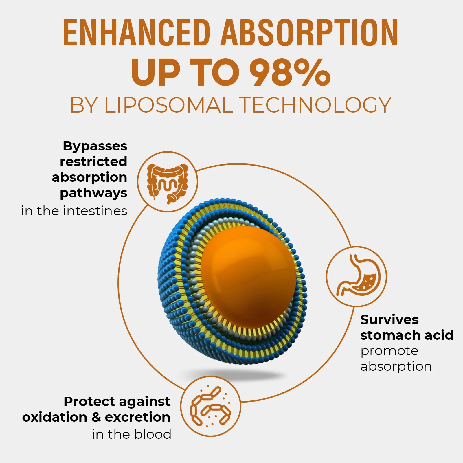 Santegra 57,000mg Liposomal Rhodiola Rosea with Ashwagandha — 360ml Liquid - Image 4
