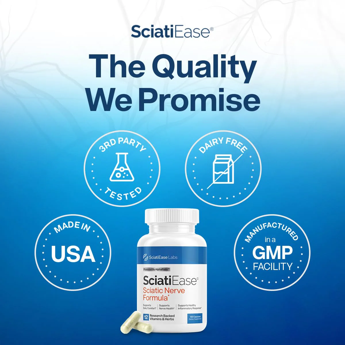 SciatiEase Sciatic Nerve Health Support Supplement | AlphaPalm, Pea, B-Complex, 300mg Alpha Lipoic Acid | 6 Bottles - Image 9