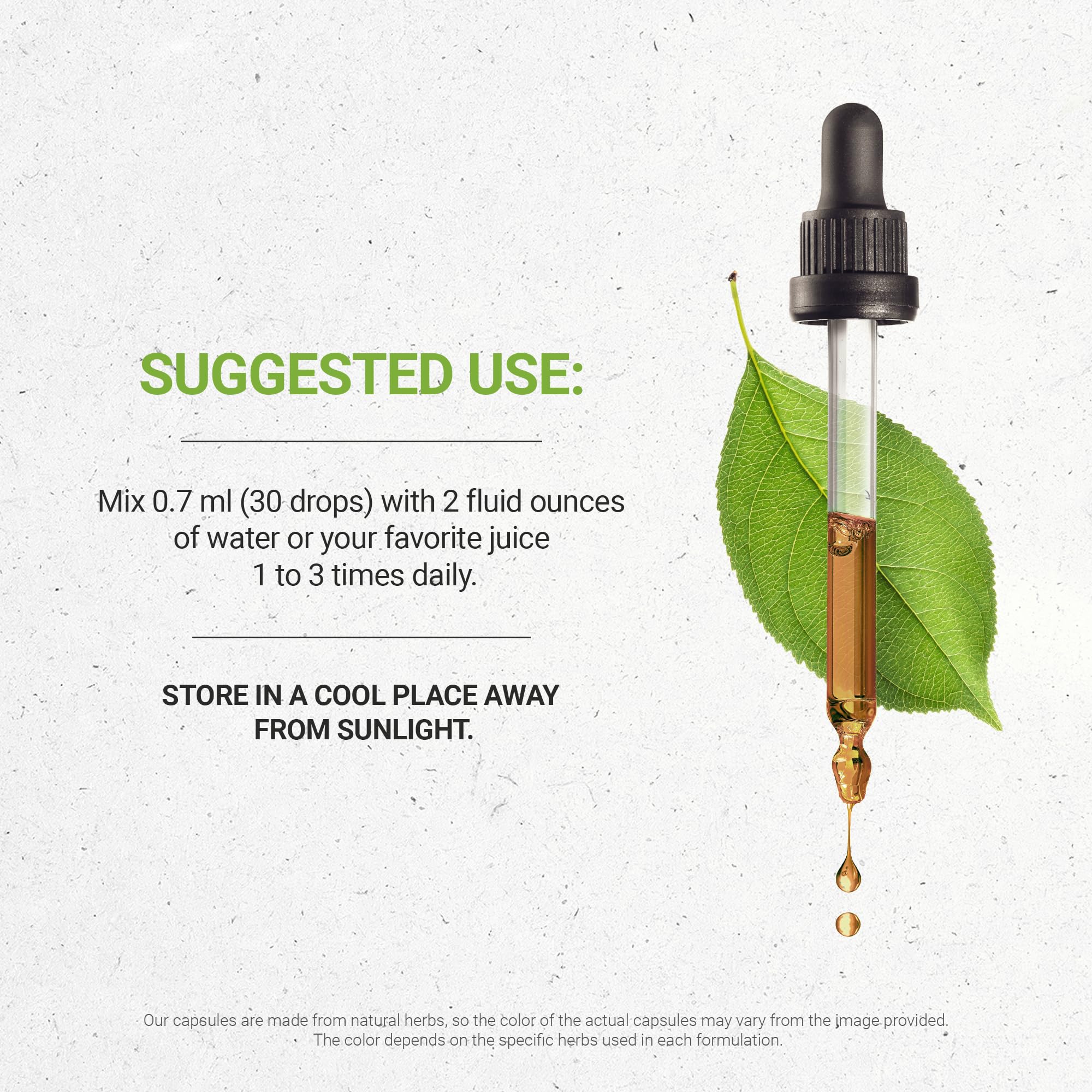 Secrets of the Tribe Grape Seed Tincture – Alcohol-Free Liquid Extract (Vitis Vinifera, Dried Seed) 4 oz - Image 3