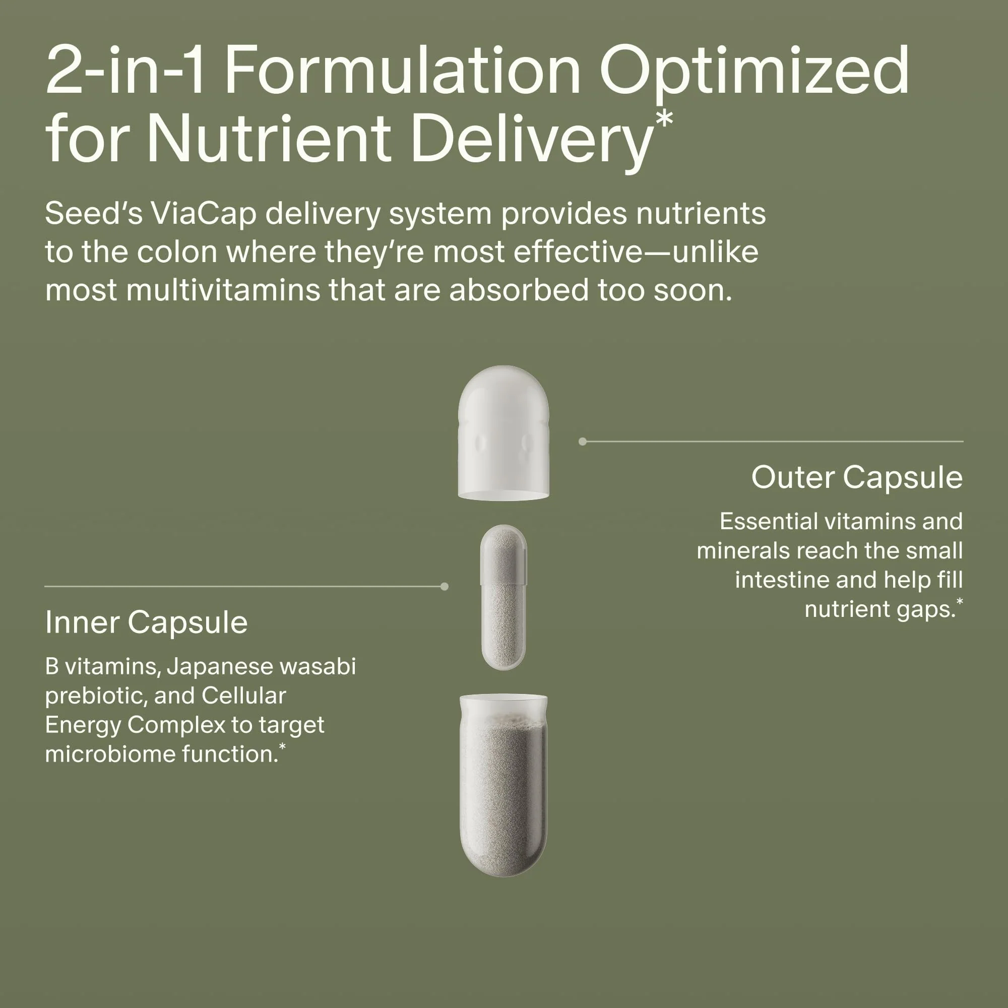 Seed DM-02 Daily Multivitamin – 100% DV Essentials for Immune, Bone, Hair & Nails (Vegan, 30-Day) - Image 3