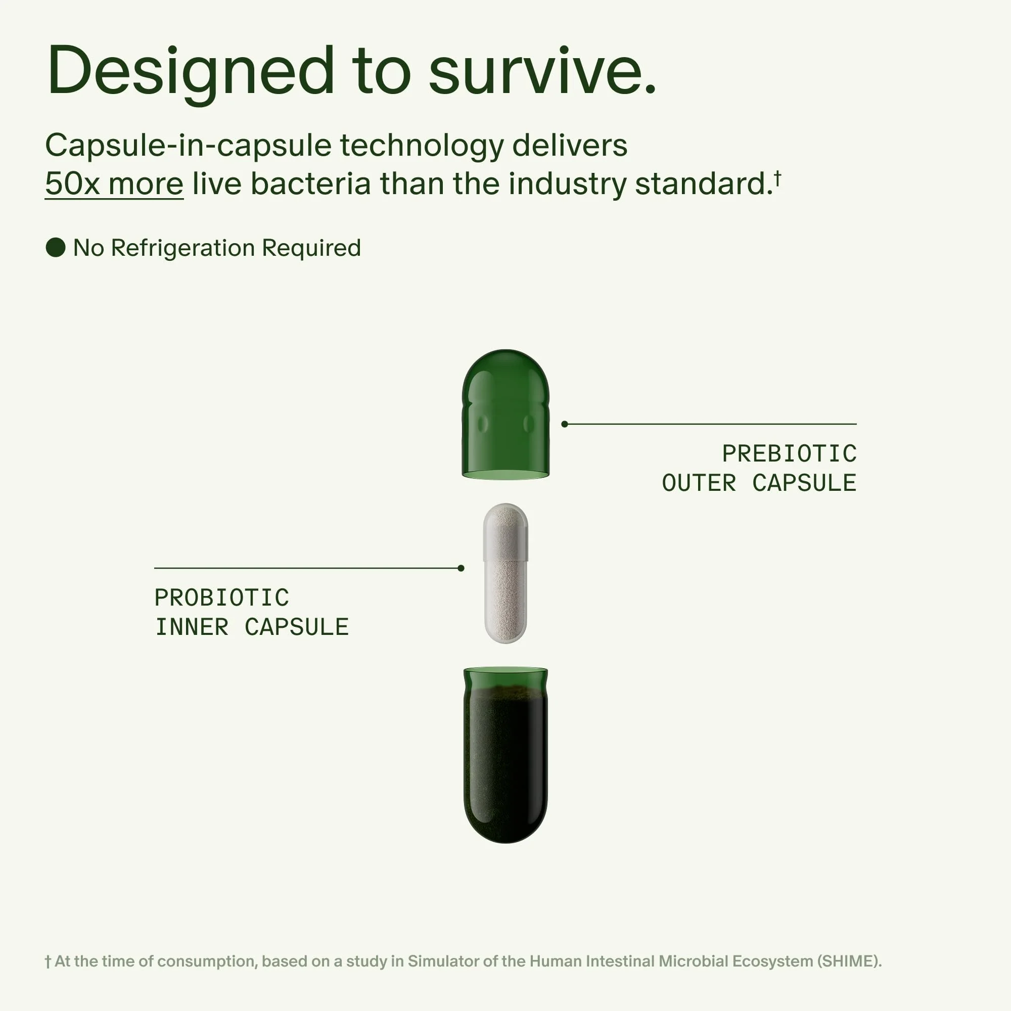 Seed DS-01 Daily Synbiotic - 60 Capsules | Prebiotic + Probiotic for Digestive Health, Immune Support, Bloat Relief - Image 4