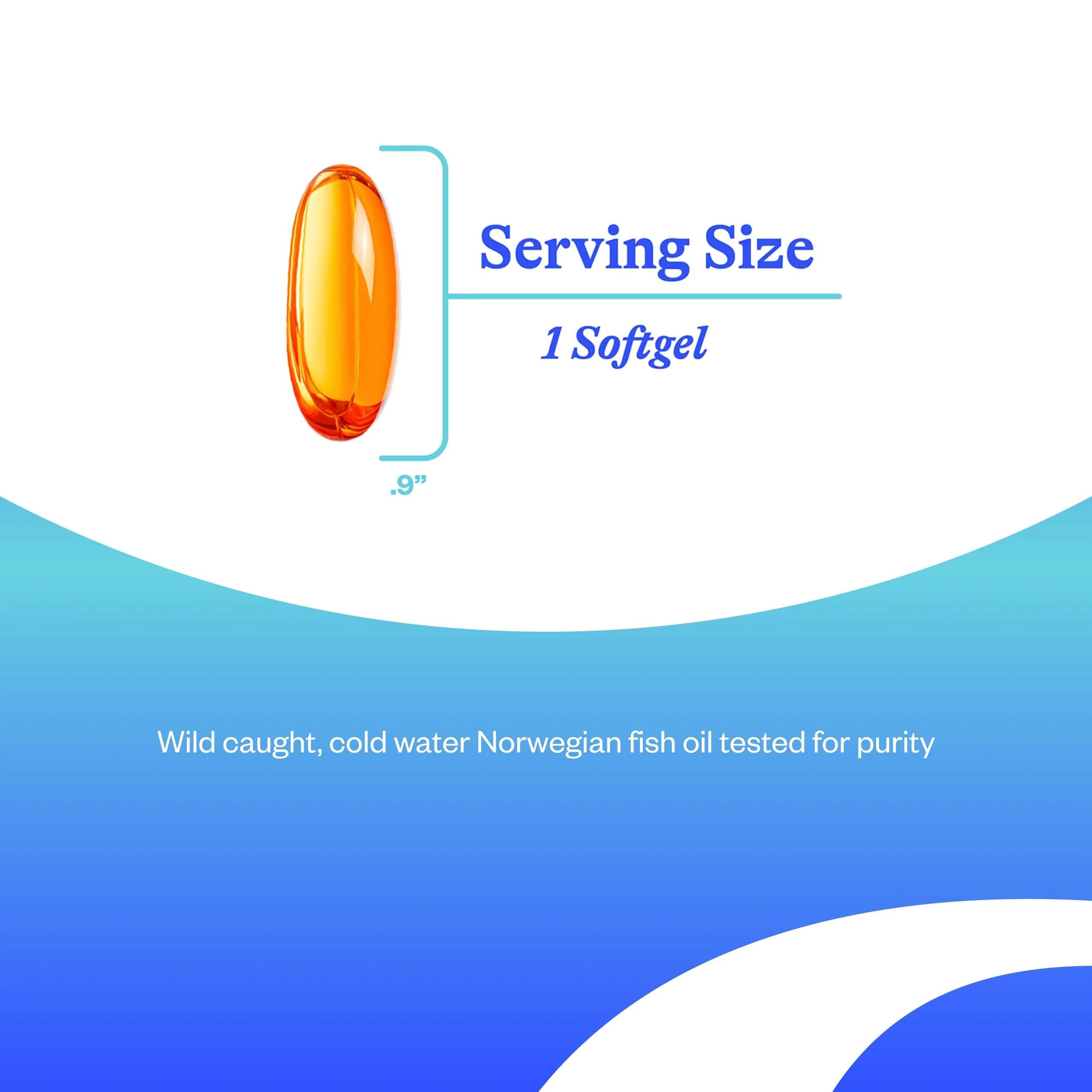 Seeking Health Fish Oil 400mg EPA / 400mg DHA Norwegian Fish Oil Tested for Purity. 60 Softgels - Image 5