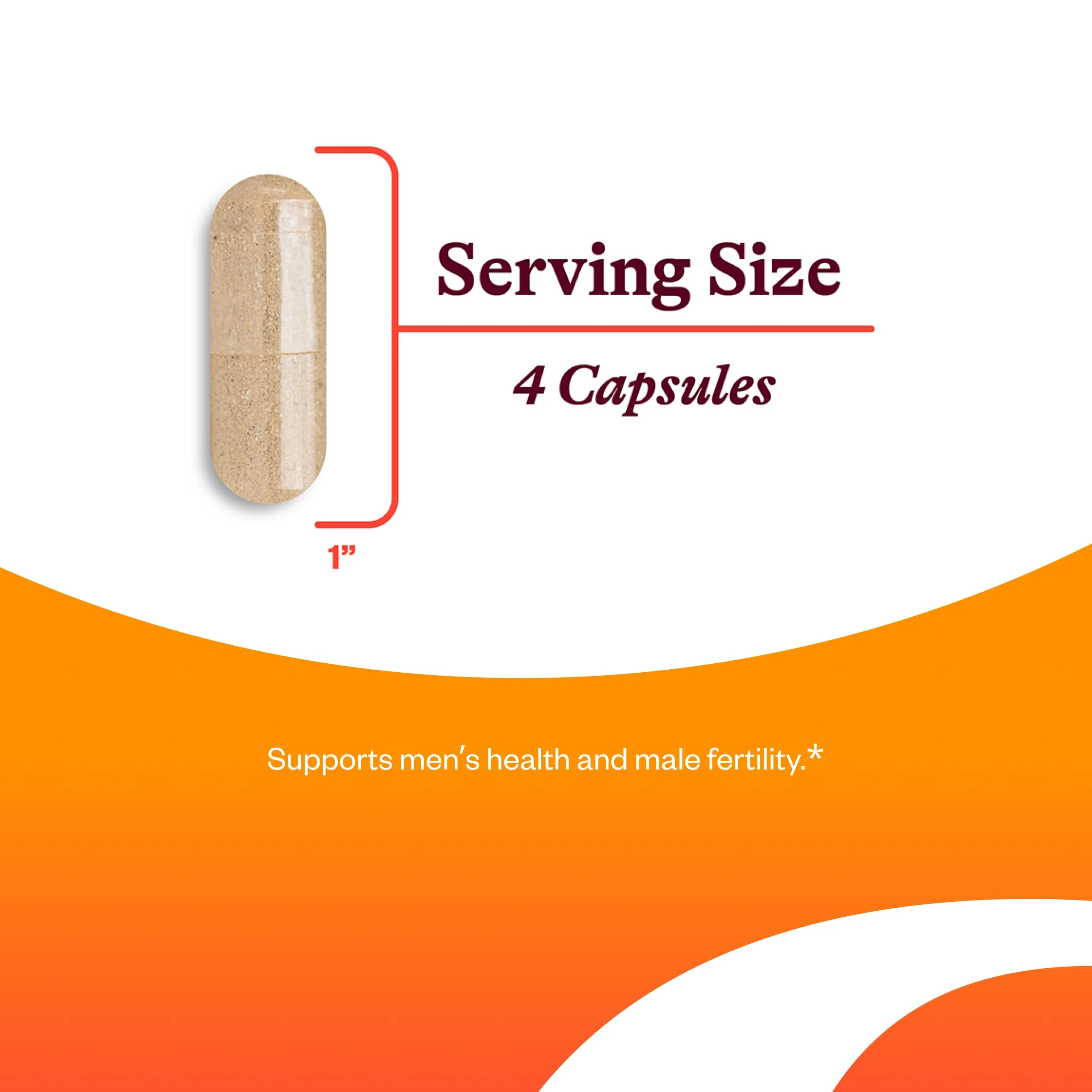 Seeking Health Optimal Man Multivitamin — Zinc, Active Folate & Alpha-Lipoic Acid for Energy & Brain Health | 30 Servings - Image 3