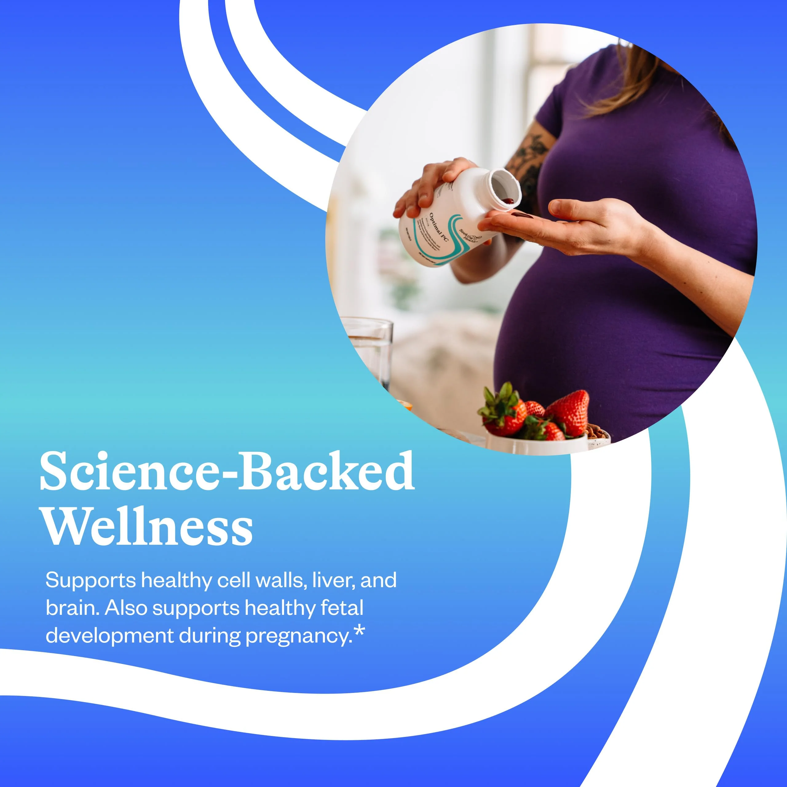 Seeking Health Optimal PC – Choline for Brain & Liver Health, 90 Softgels - Image 12
