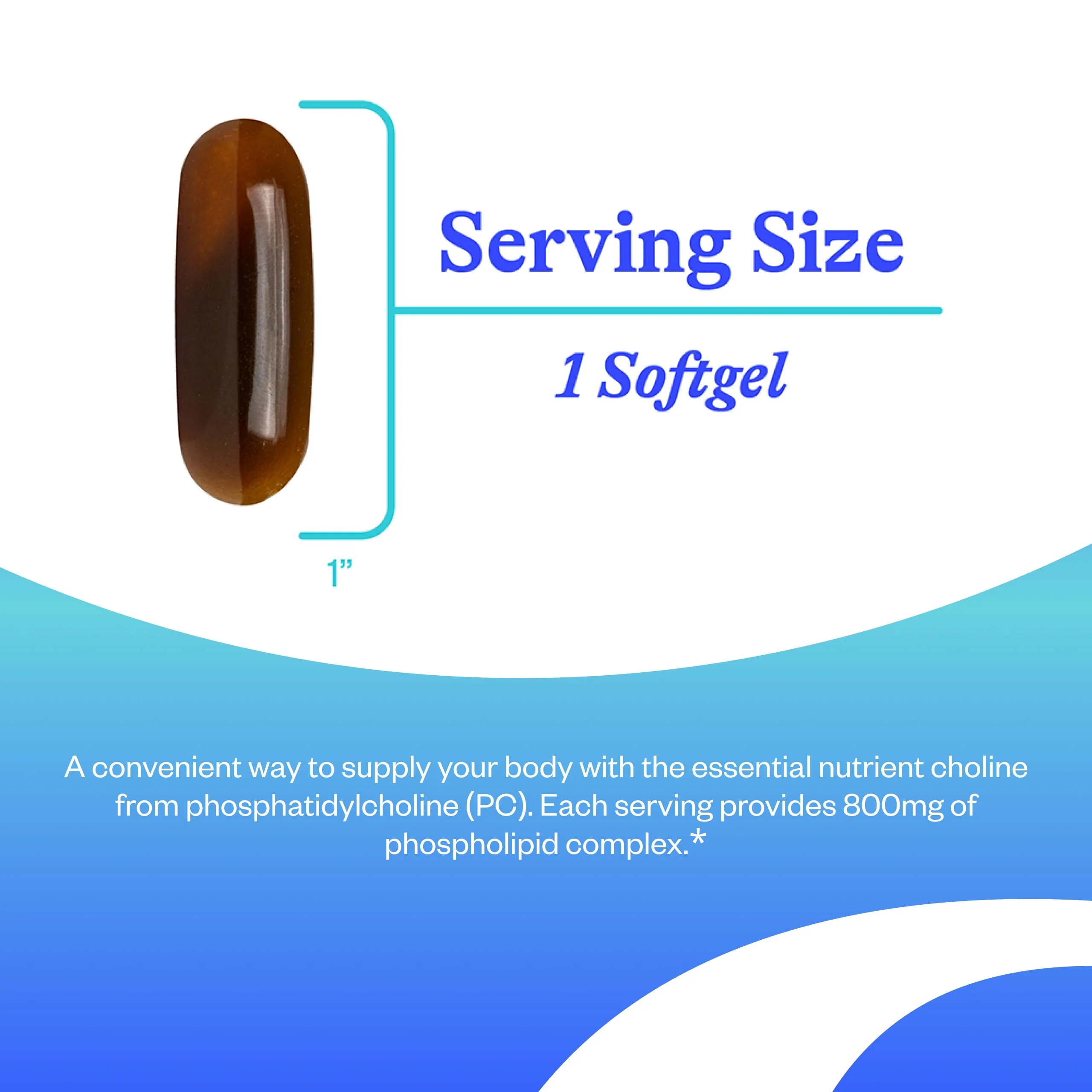Seeking Health Optimal PC – Choline for Brain & Liver Health, 90 Softgels - Image 4