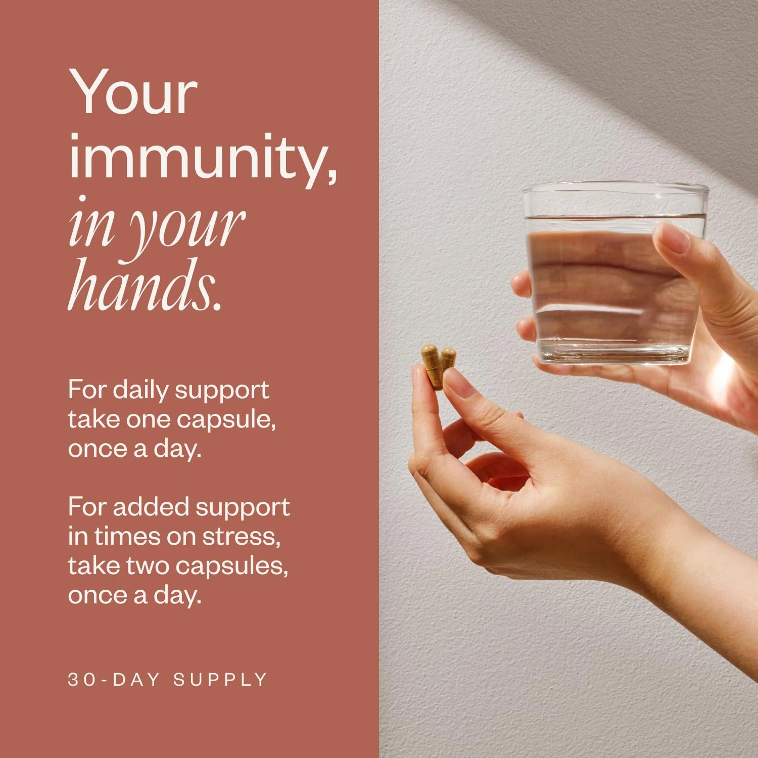 SHII AHCC Daily Immunity – 30-Day Supply | Vegan, Gluten-Free Immune Support - Image 6