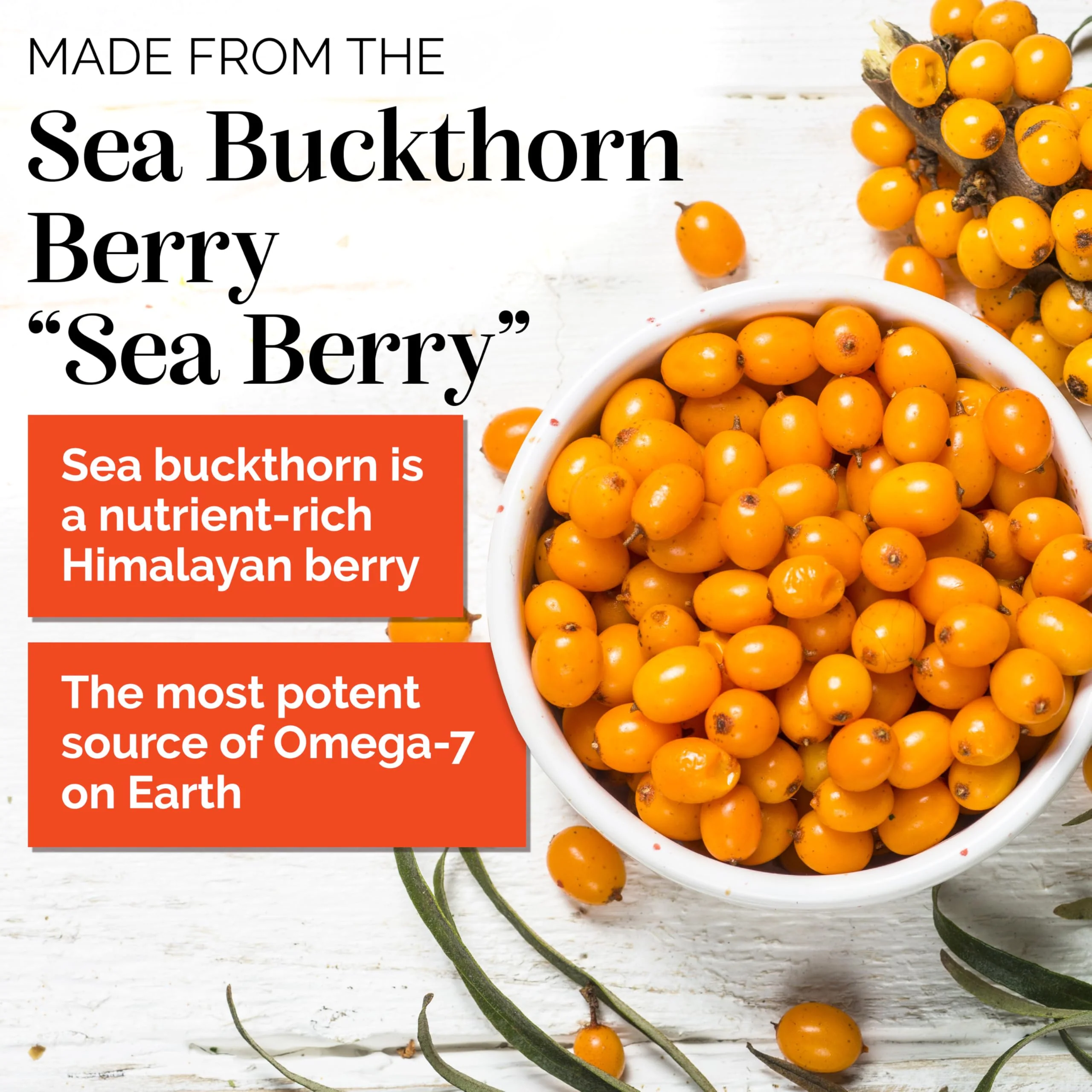 Sibu Sea Buckthorn Omega-7 Softgels – 90-Day Refill Sachet for Skin, Hair & Nails - Image 2