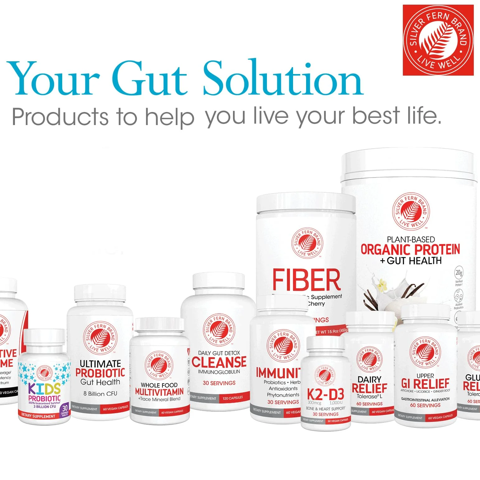 Silver Fern Gut Repair | Digestive Health Supplement Powder – L-Glutamine, Curcumin, Zinc & Ascorbic Acid (2 Tubs, 60 Servings) - Image 7