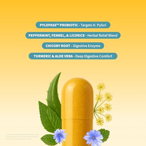 SNAP Gut Health Supplement — Turmeric, Aloe & Pylopass Probiotics | 50 Caps - Image 2