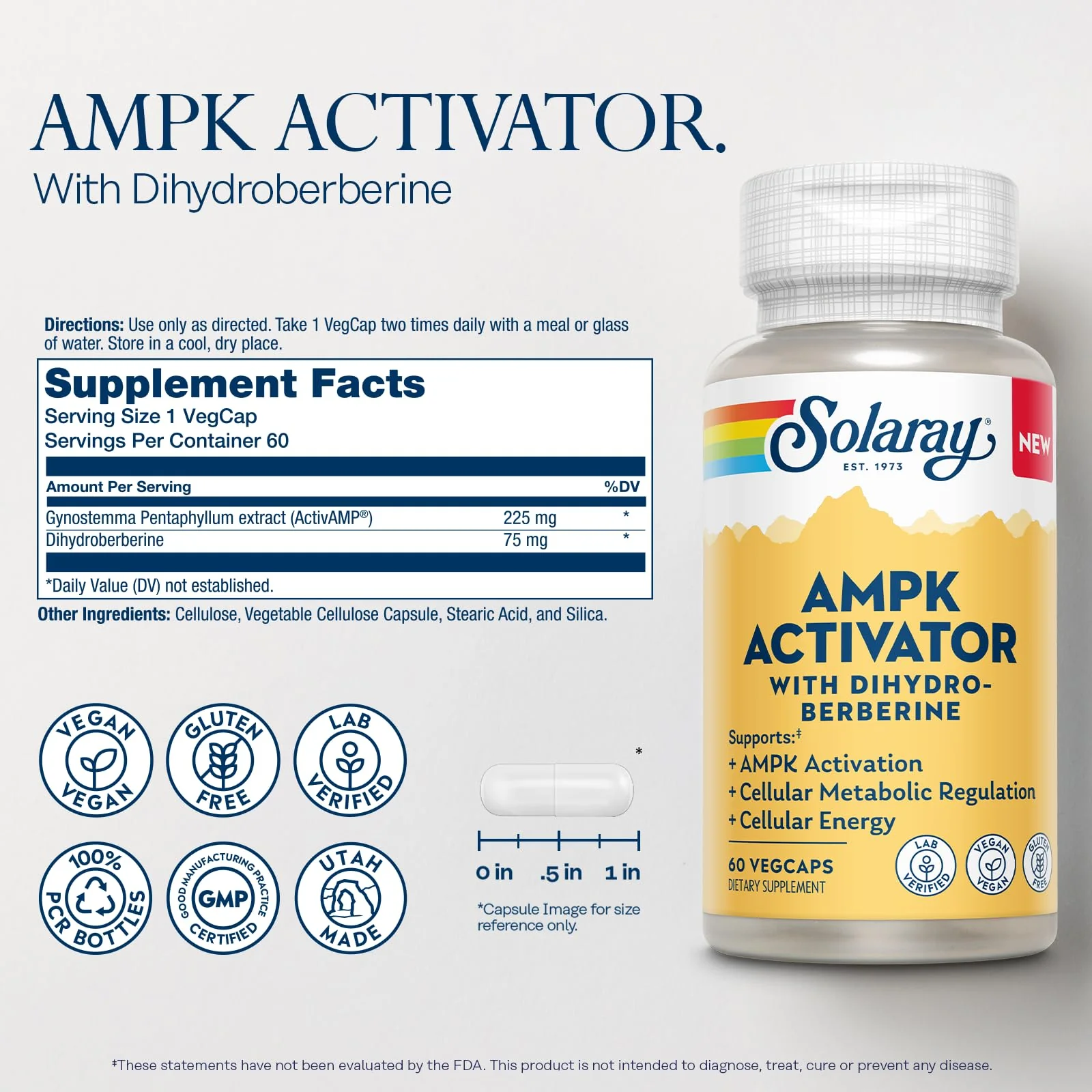 Solaray AMPK Activator Plus Dihydroberberine – Clinically Backed Ingredient – Advanced Berberine Supplement – Cellular Energy and Metabolism Support – 60-Day Guarantee – 60 VegCaps - Image 2