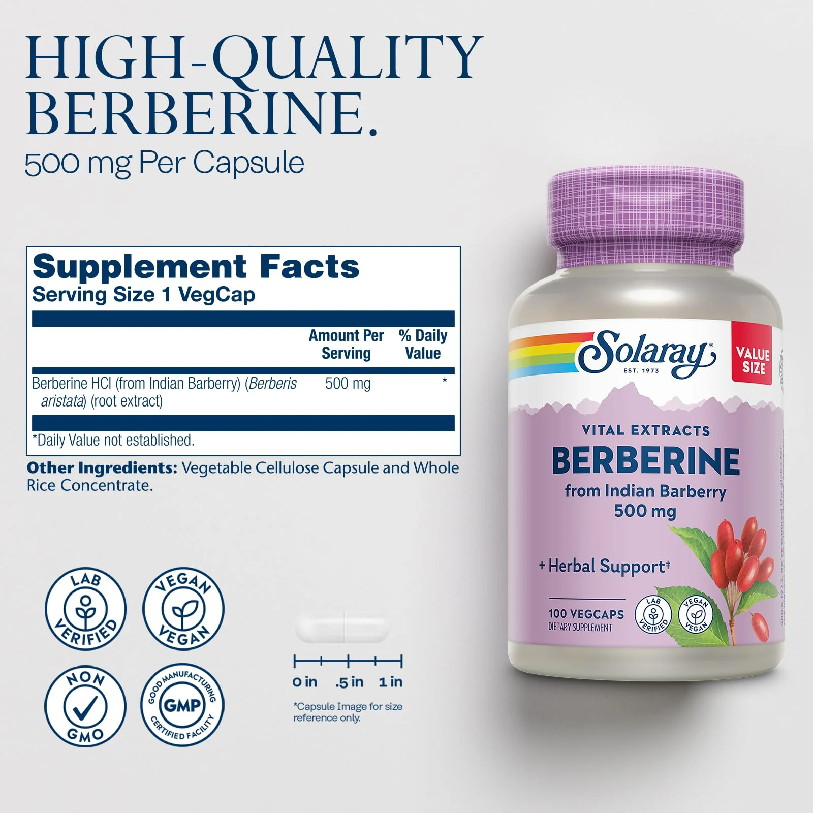 SOLARAY Berberine 500mg – Berberine HCl from Indian Barberry, Vegan, Non-GMO, 100 Servings - Image 2